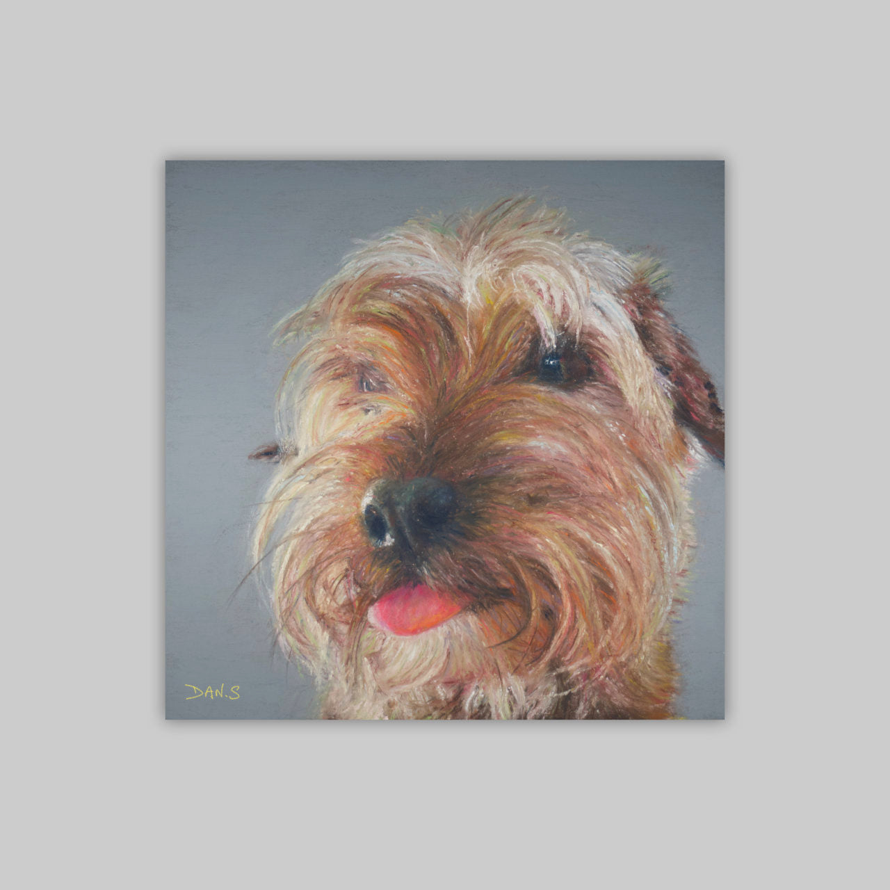 Picture of a terrier dog on a grey background
