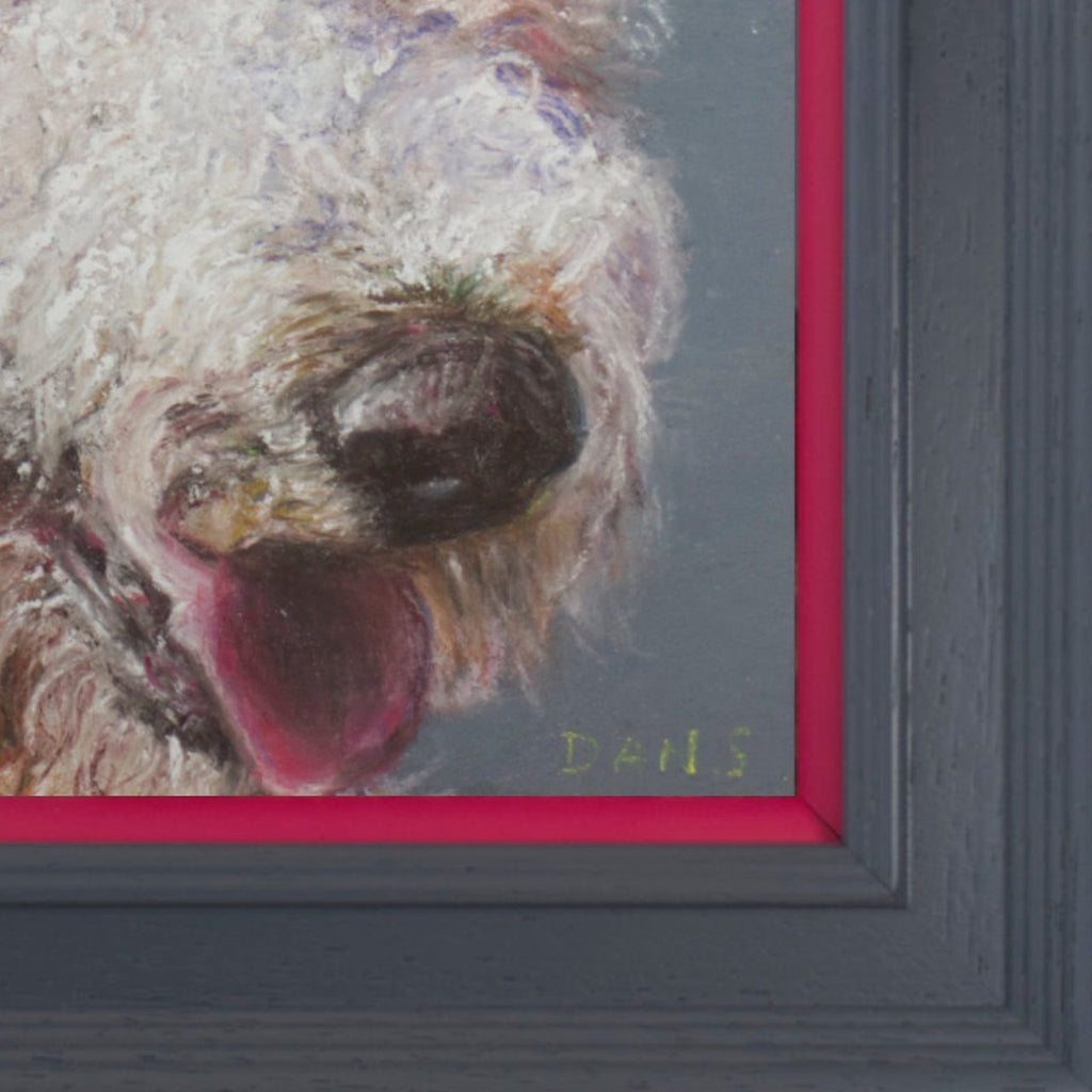Cropped picture of a Golden Doodle with a grey background in a grey frame with pop of pink