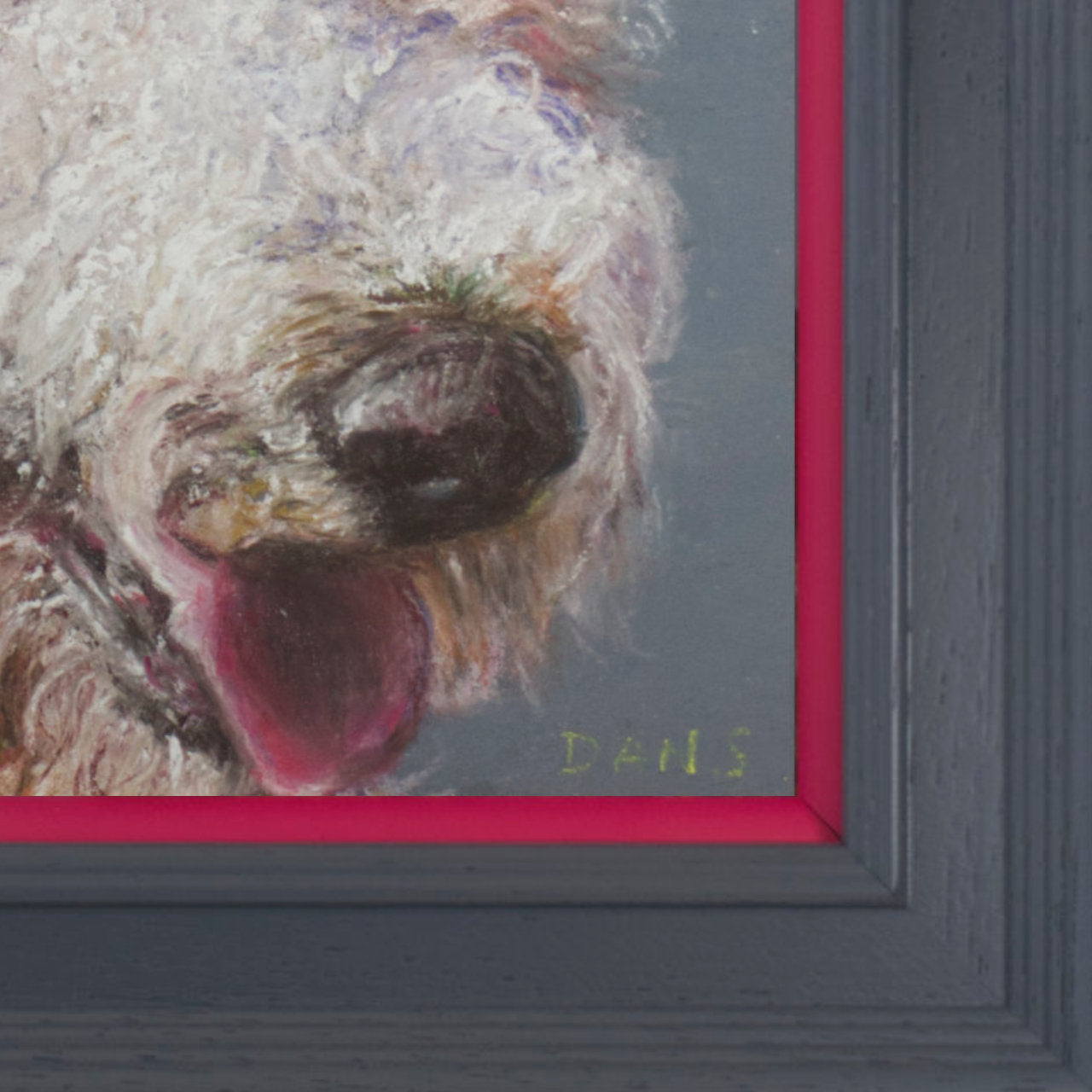 Cropped picture of a Golden Doodle with a grey background in a grey frame with pop of pink