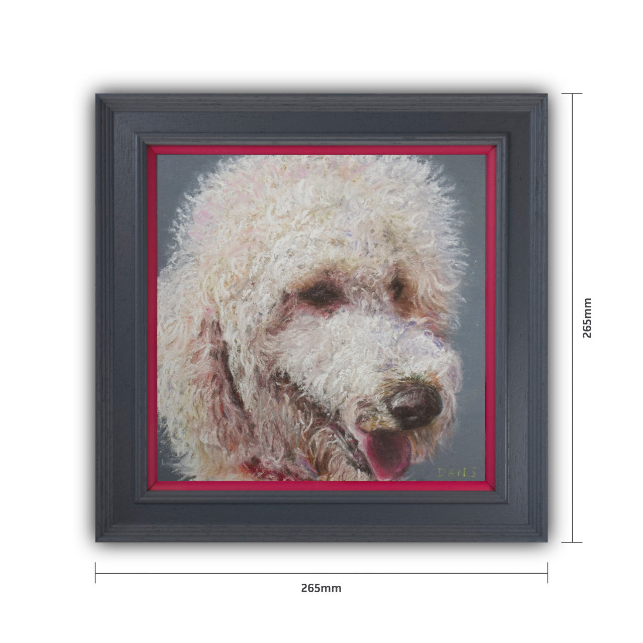 Picture of a Golden Doodle with a grey background in a grey frame with pop of pink