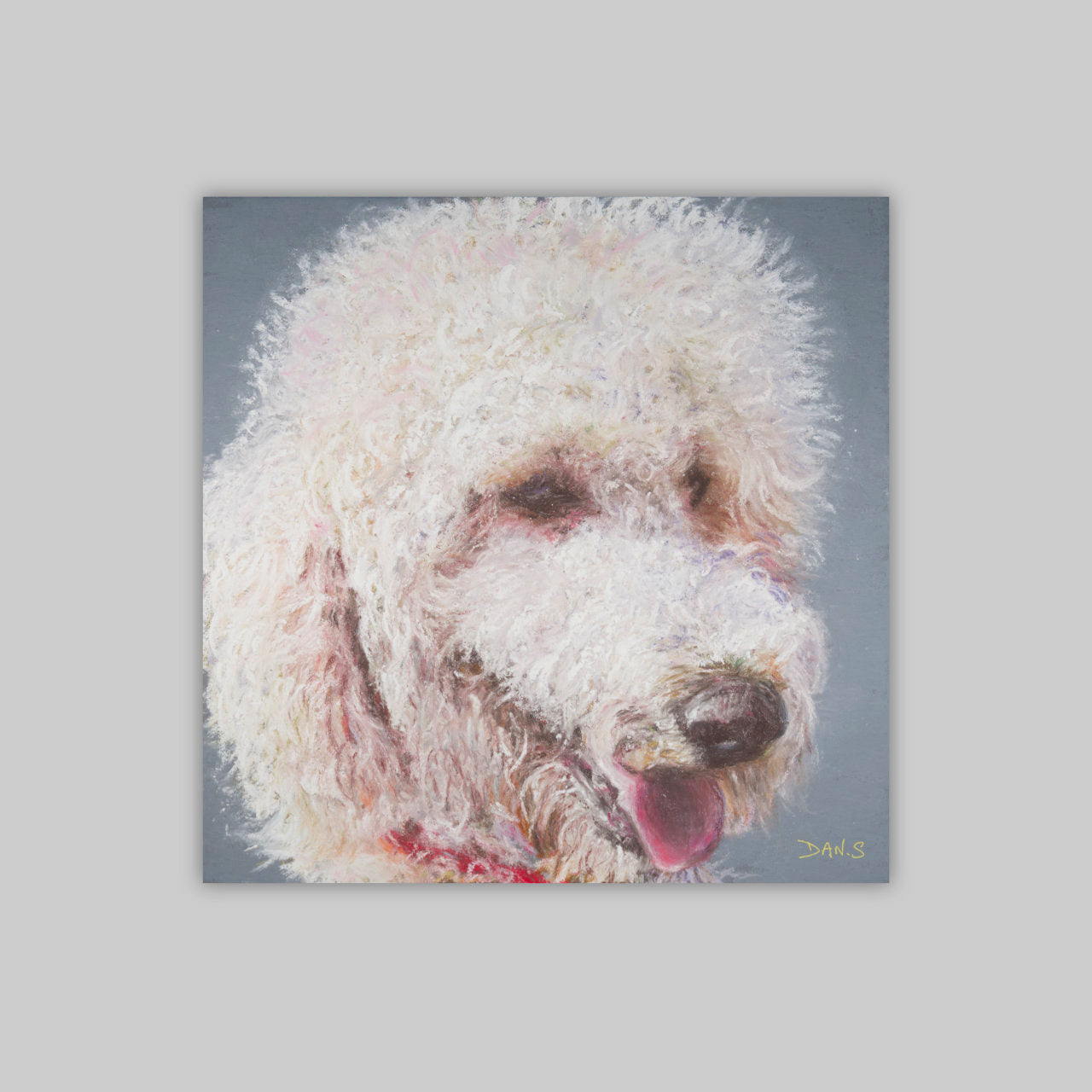 Picture of a Golden Doodle with a grey background