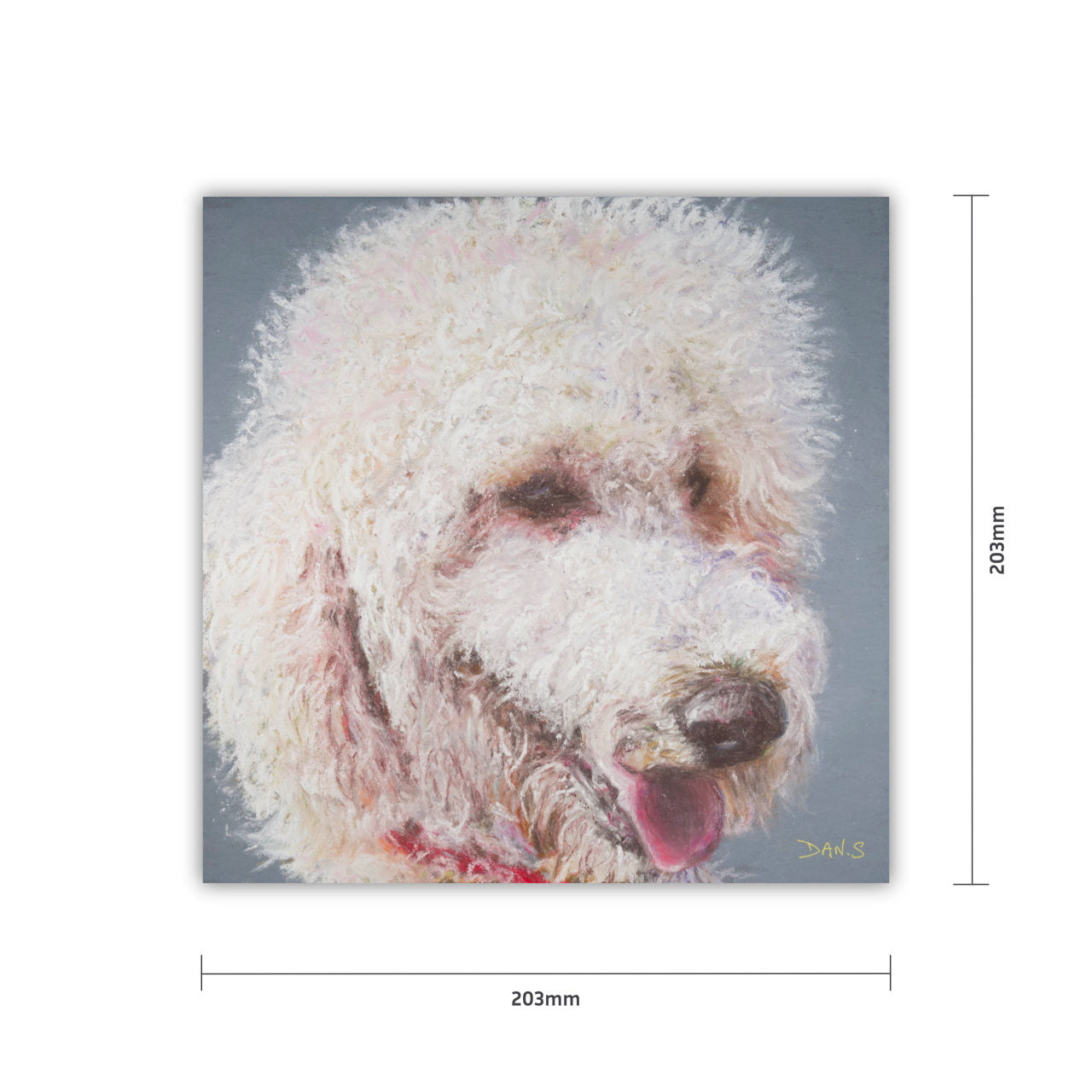Picture of a Golden Doodle with a grey background