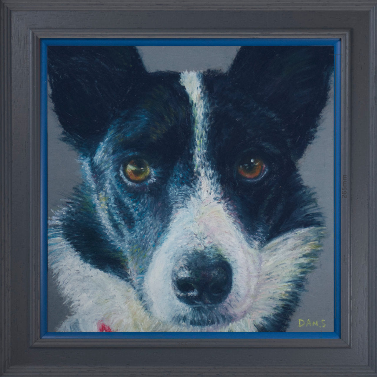 Picture of a Collie face with a grey background in a grey frame with pop of blue