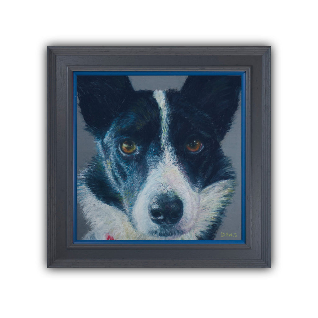 Picture of a Collie face with a grey background in a grey frame with pop of blue
