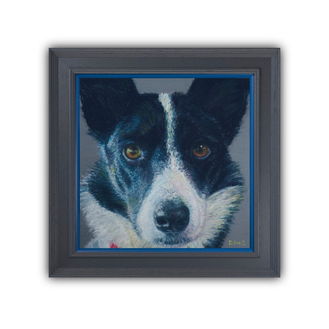 Picture of a Collie face with a grey background in a grey frame with pop of blue