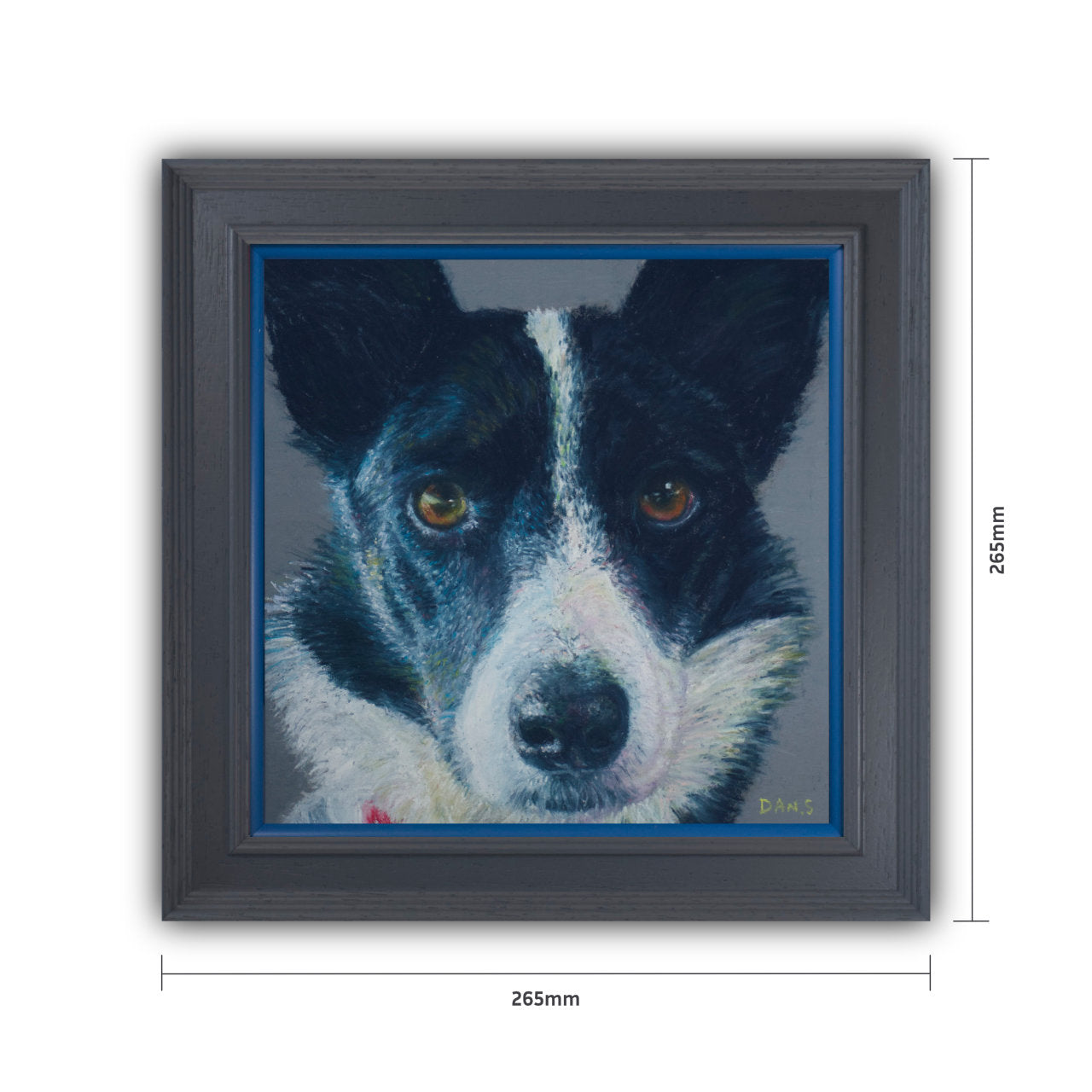 Picture of a Collie face with a grey background in a grey frame with pop of blue 