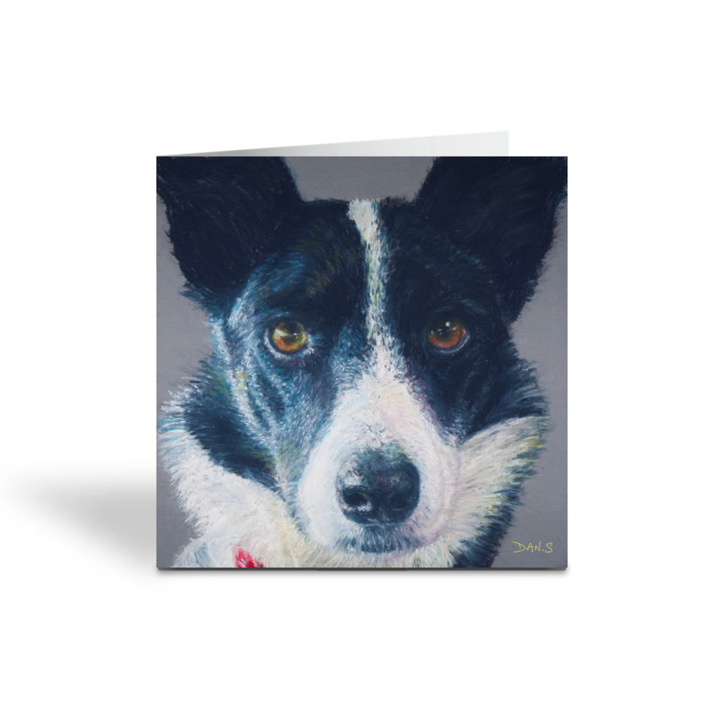 Greetings card with a Collie face with a grey background 