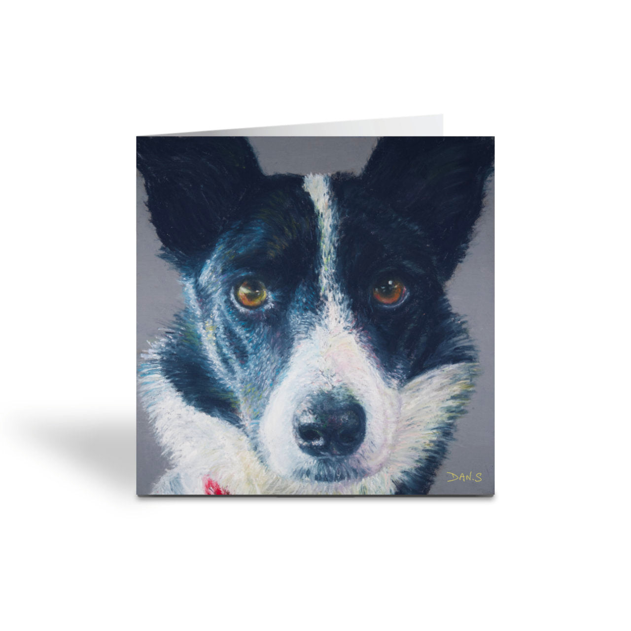 Greetings card with a Collie face with a grey background 