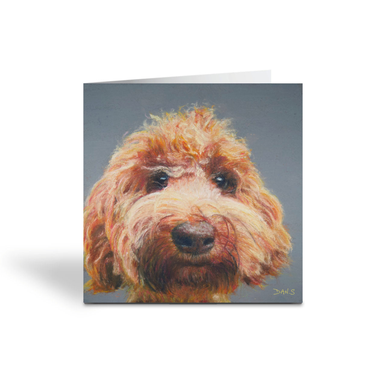 Greetings card with a Australian Labradoodle face with a grey background 