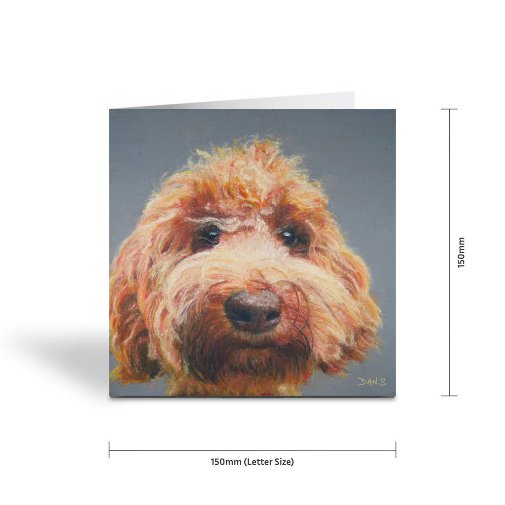 Greetings card with a Australian Labradoodle face with a grey background 