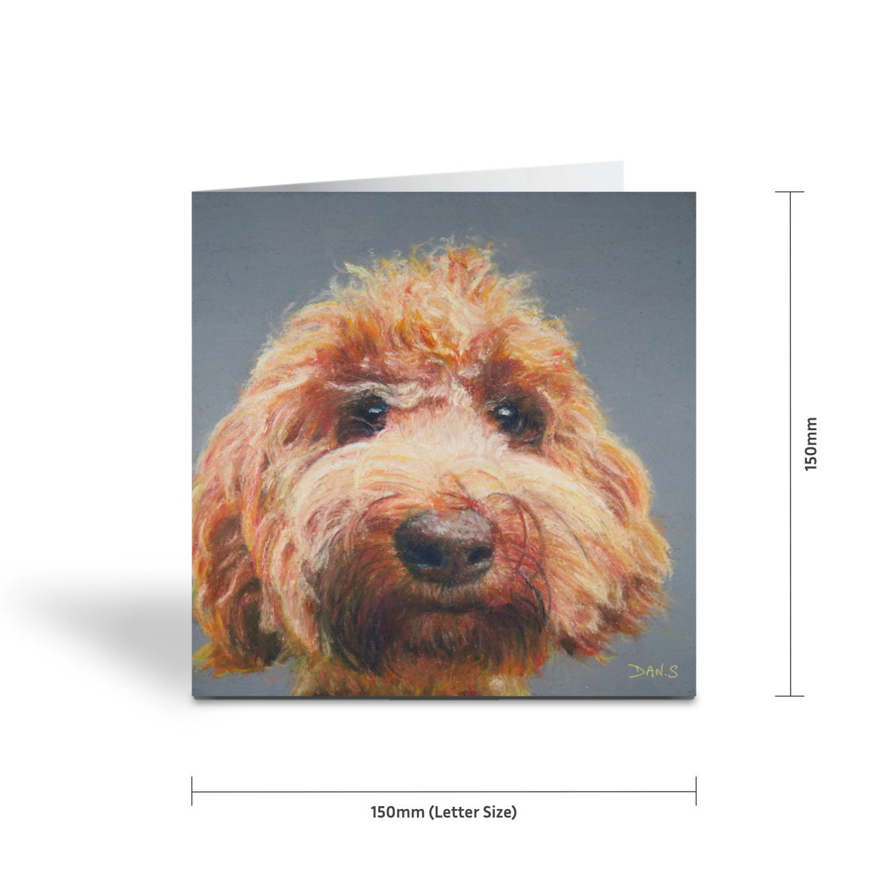 Greetings card with a Australian Labradoodle face with a grey background 