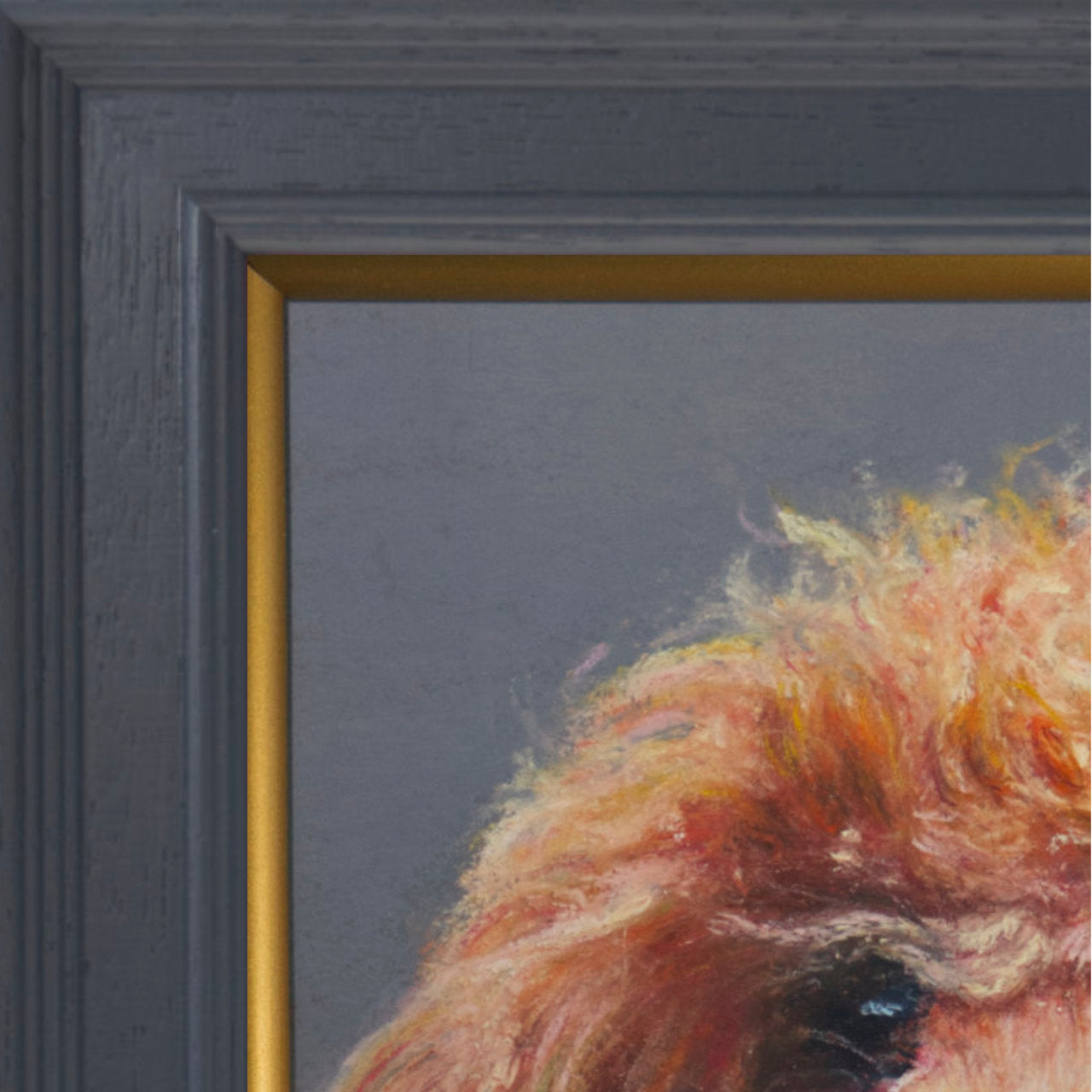 Cropped picture of a Australian Labradoodle face with a grey background in a grey frame with a pop of gold