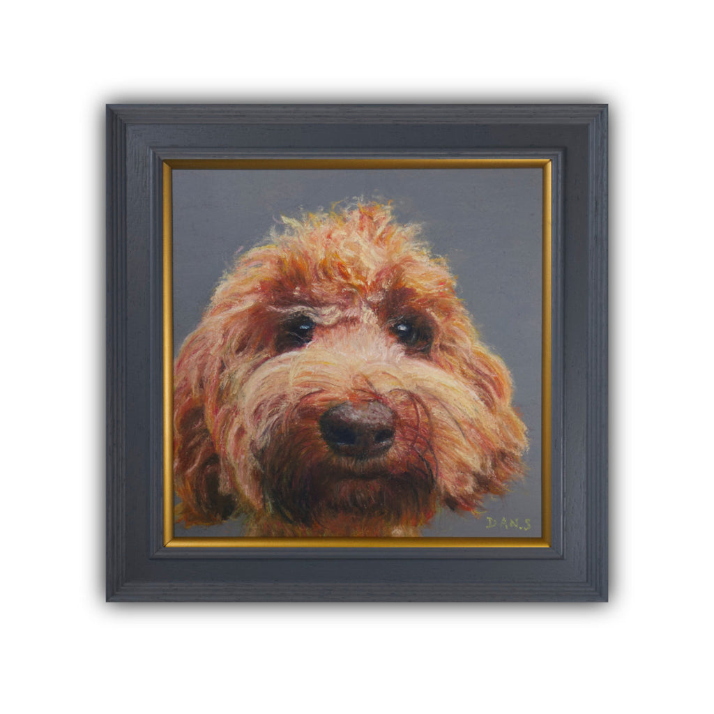 Picture of a Australian Labradoodle face with a grey background in a grey frame with a pop of gold