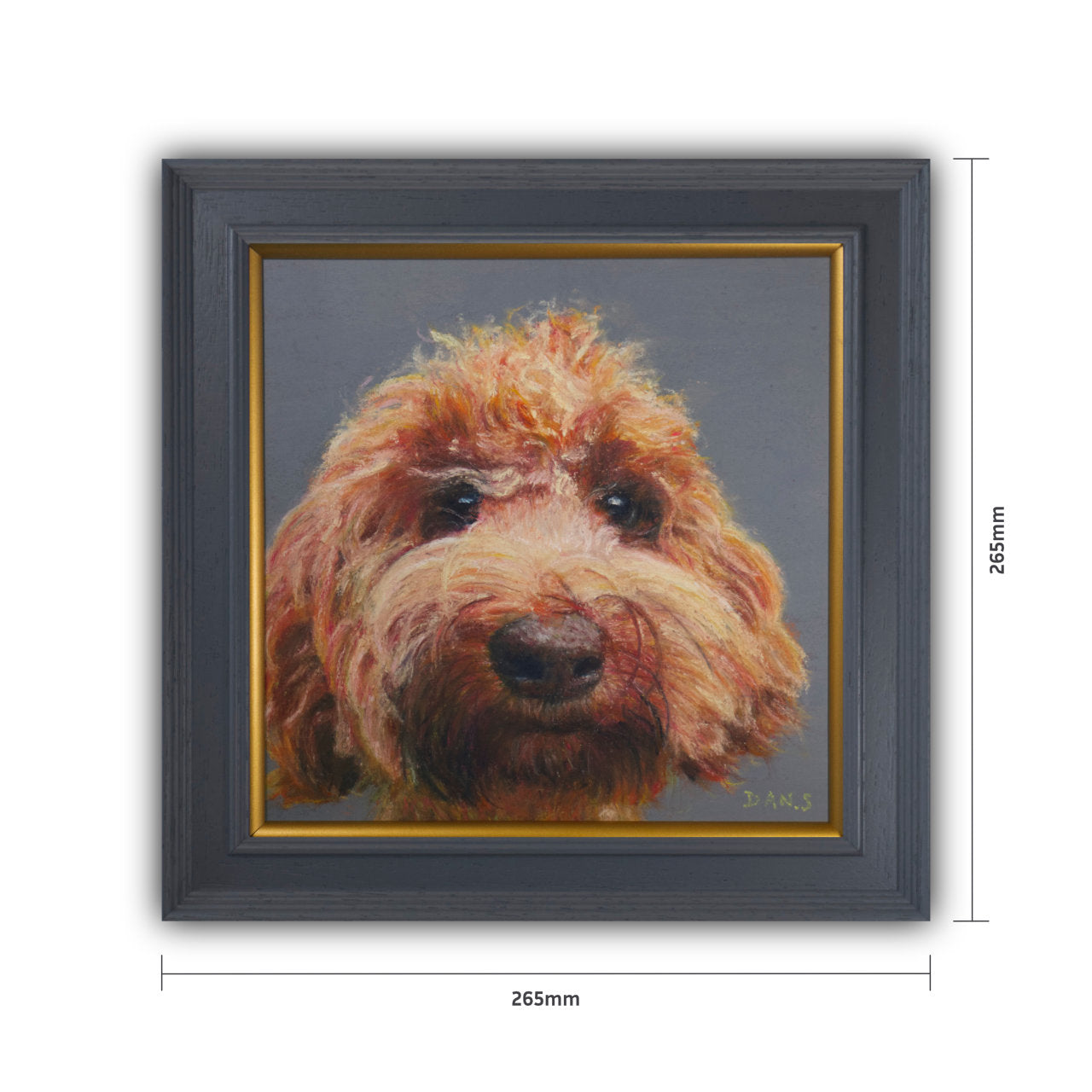 Picture of a Australian Labradoodle face with a grey background in a grey frame with a pop of gold