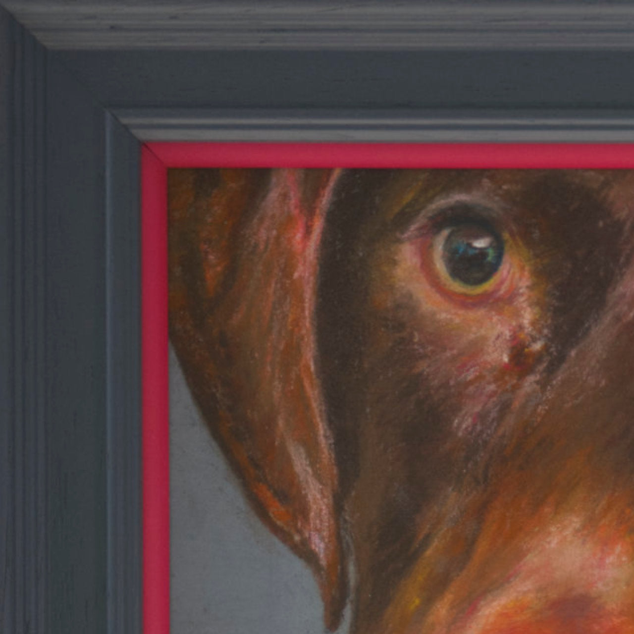 Cropped picture of a short haired GSP's face with a grey background in a grey frame with a pop of pink
