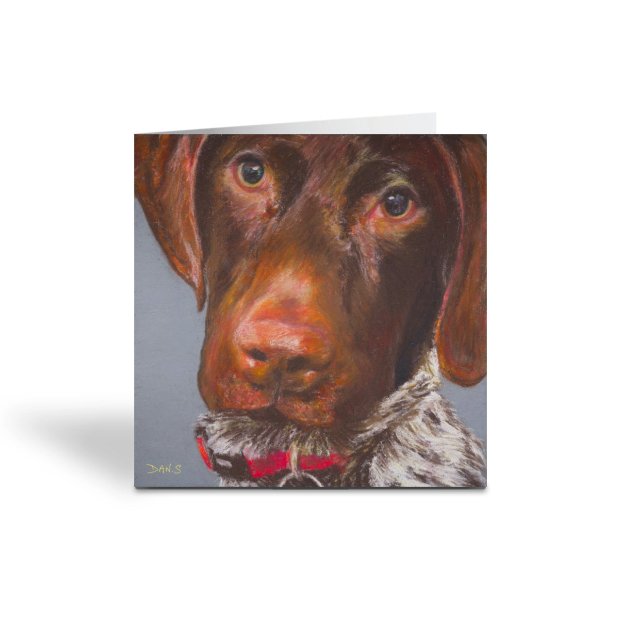 Greetings card featuring a short haired GSP's face with a grey background