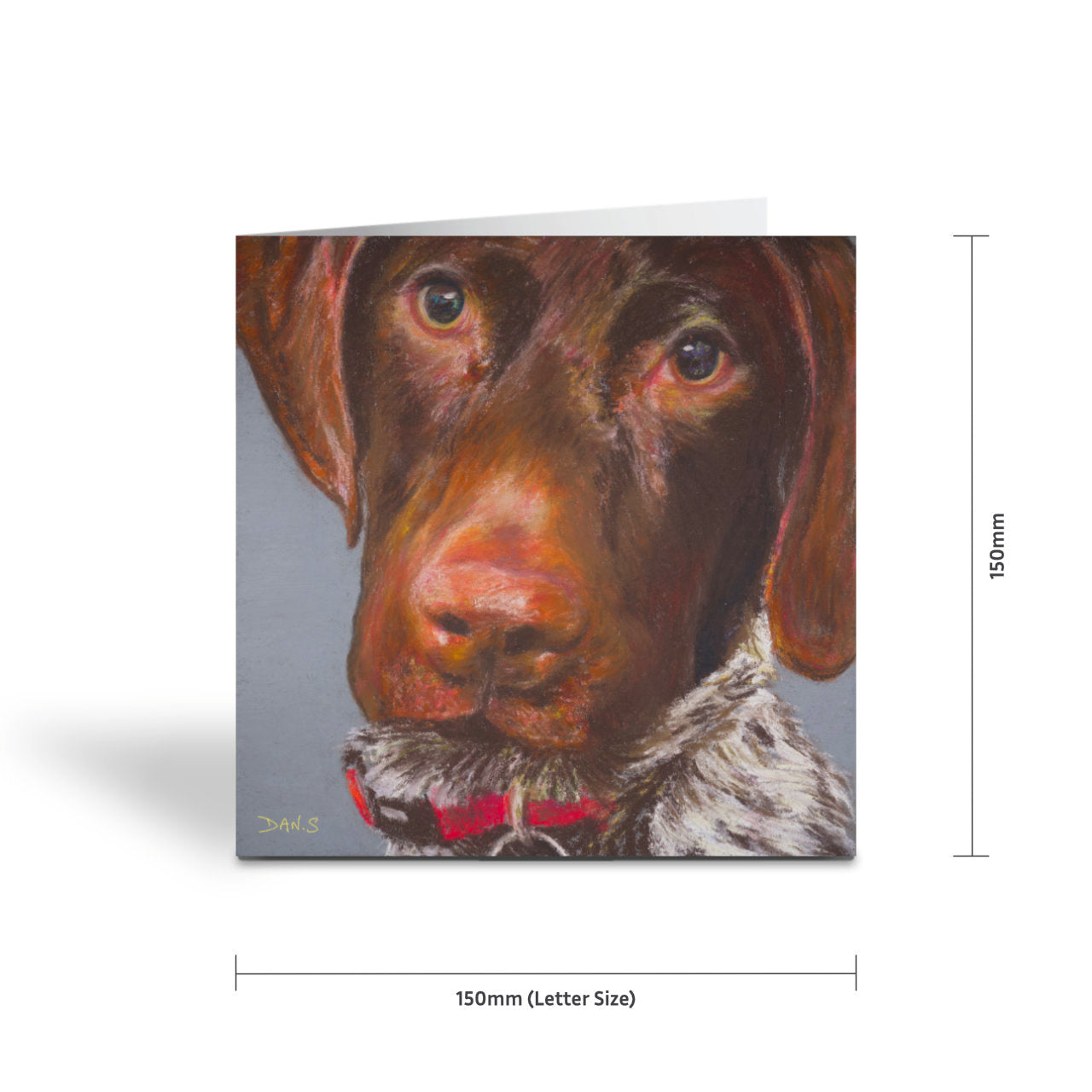 Greetings card featuring a short haired GSP's face with a grey background