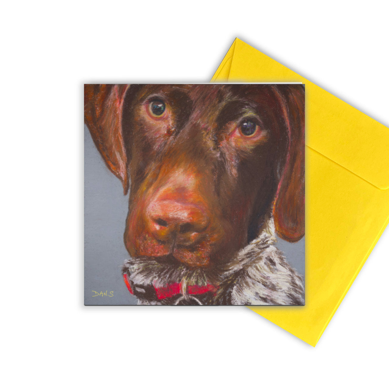Greetings card featuring a short haired GSP's face with a yellow envelope