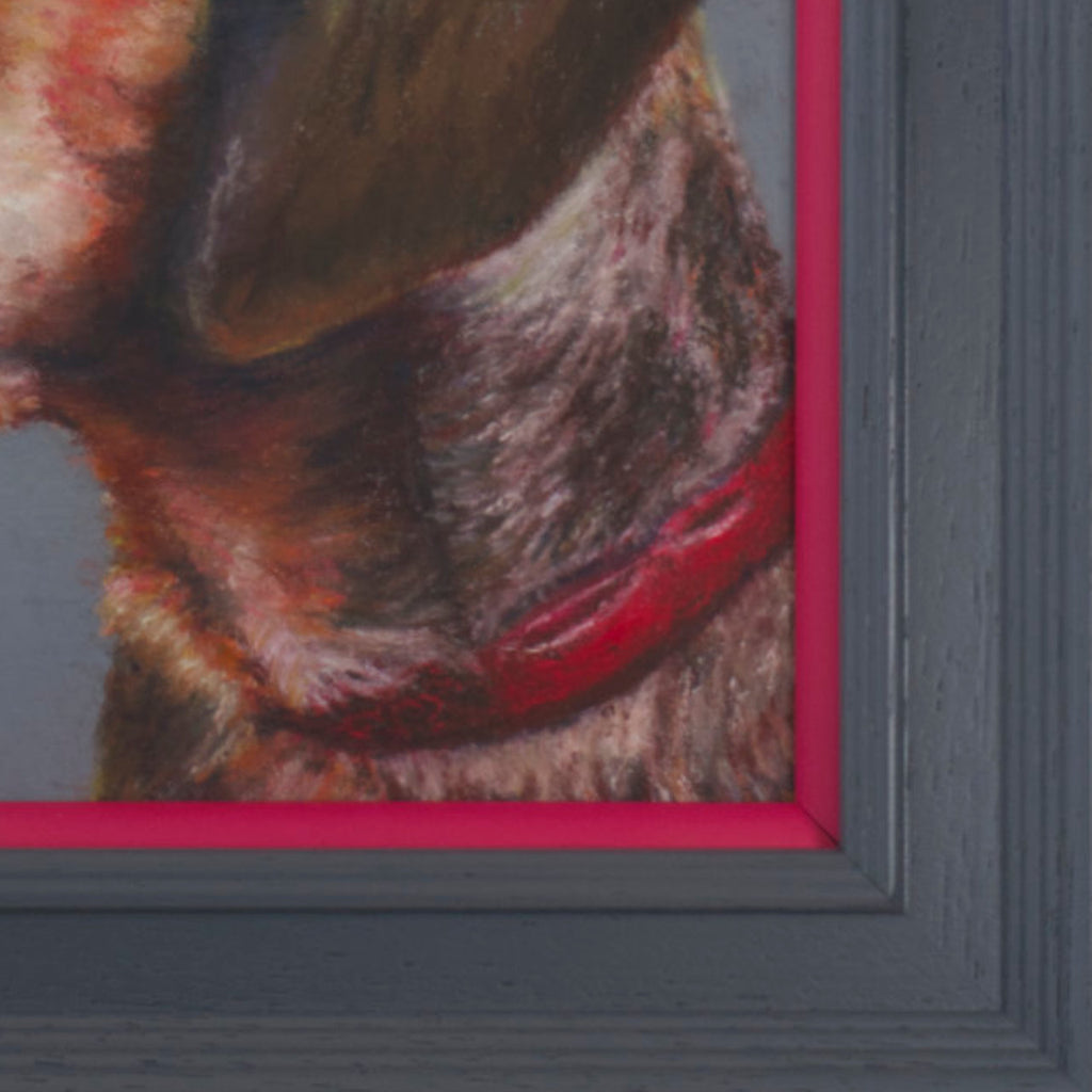 Cropped picture of a short haired dachshund's face with a grey background in a grey frame with pop of pink
