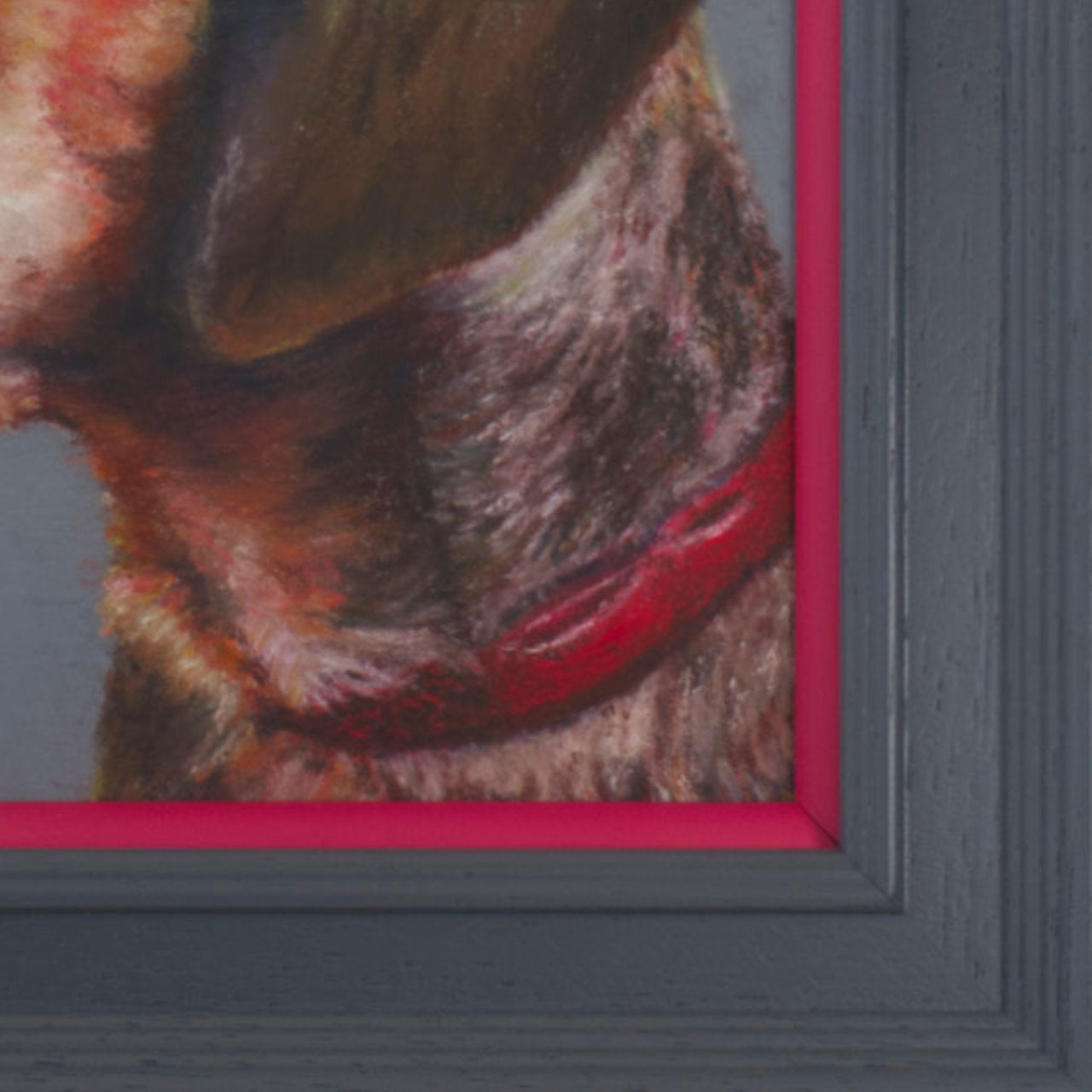 Cropped picture of a short haired dachshund's face with a grey background in a grey frame with pop of pink