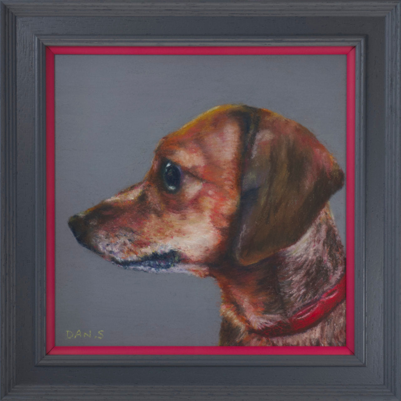 Picture of a short haired dachshund's face with a grey background in a grey frame with pop of pink