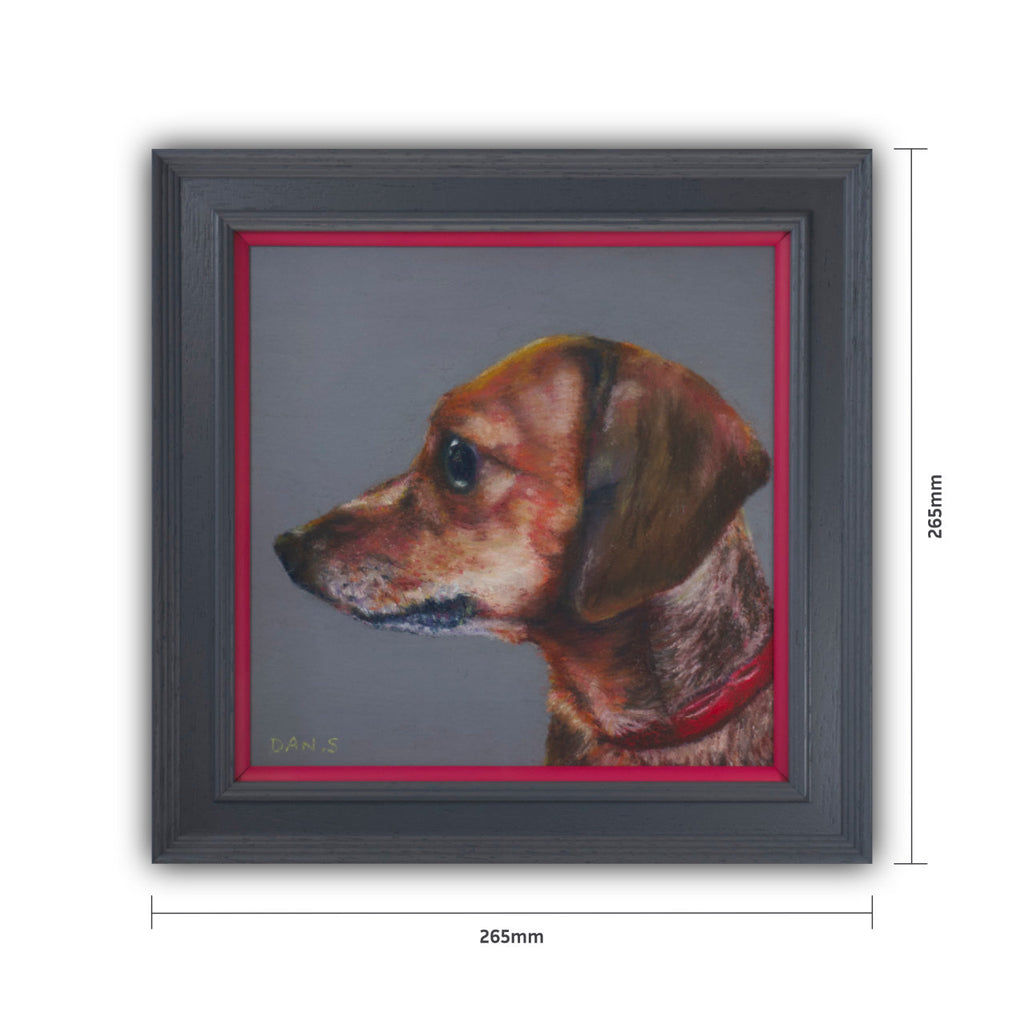 Picture of a short haired dachshund's face with a grey background in a grey frame with pop of pink