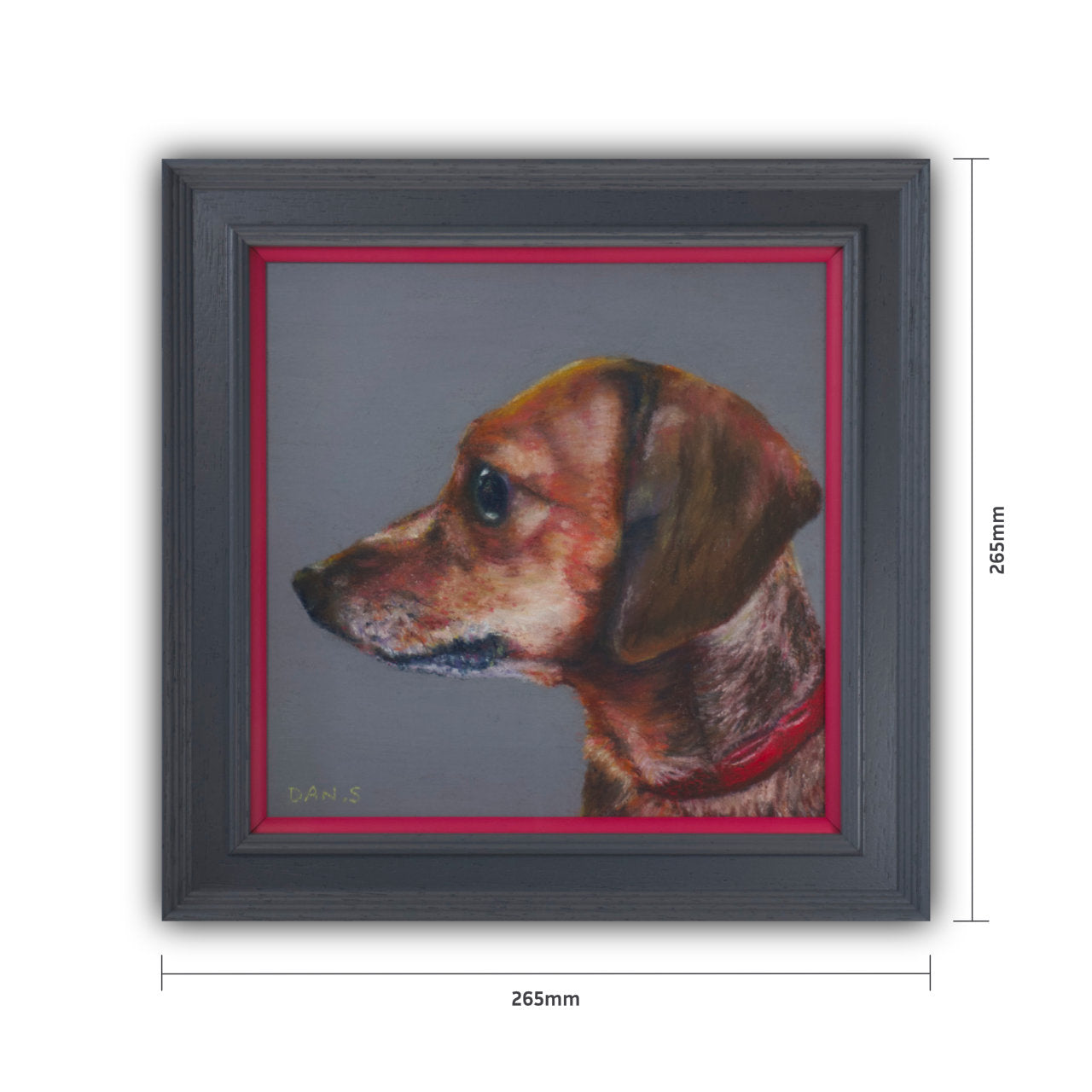 Picture of a short haired dachshund's face with a grey background in a grey frame with pop of pink