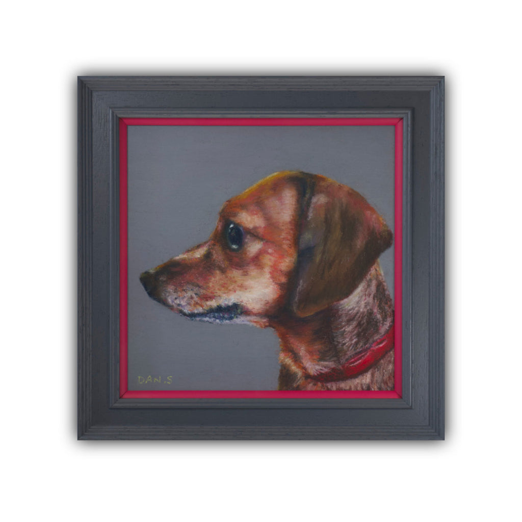 Picture of a short haired dachshund's face with a grey background in a grey frame with pop of pink