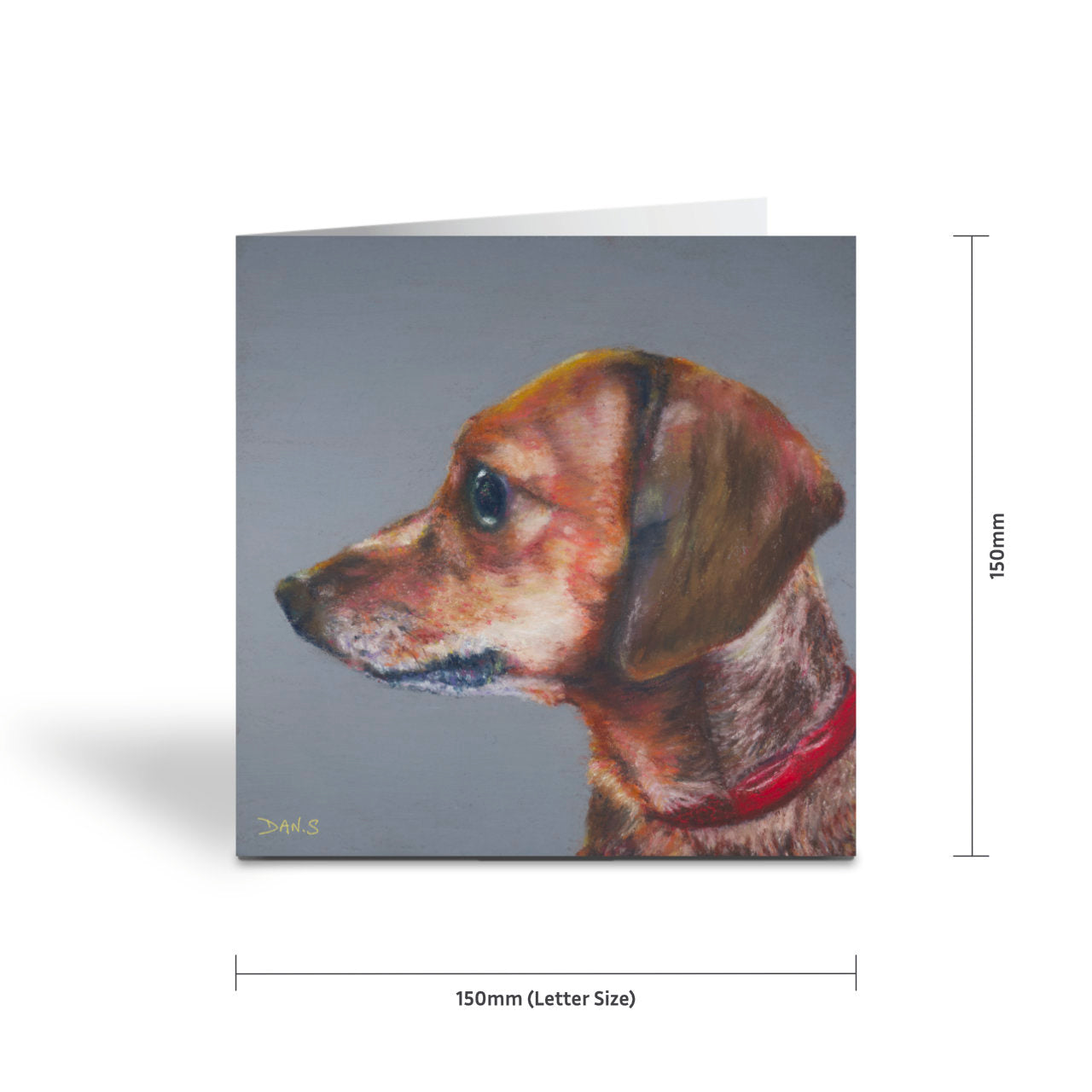 Greetings card with a short haired dachshund's face with a grey background 