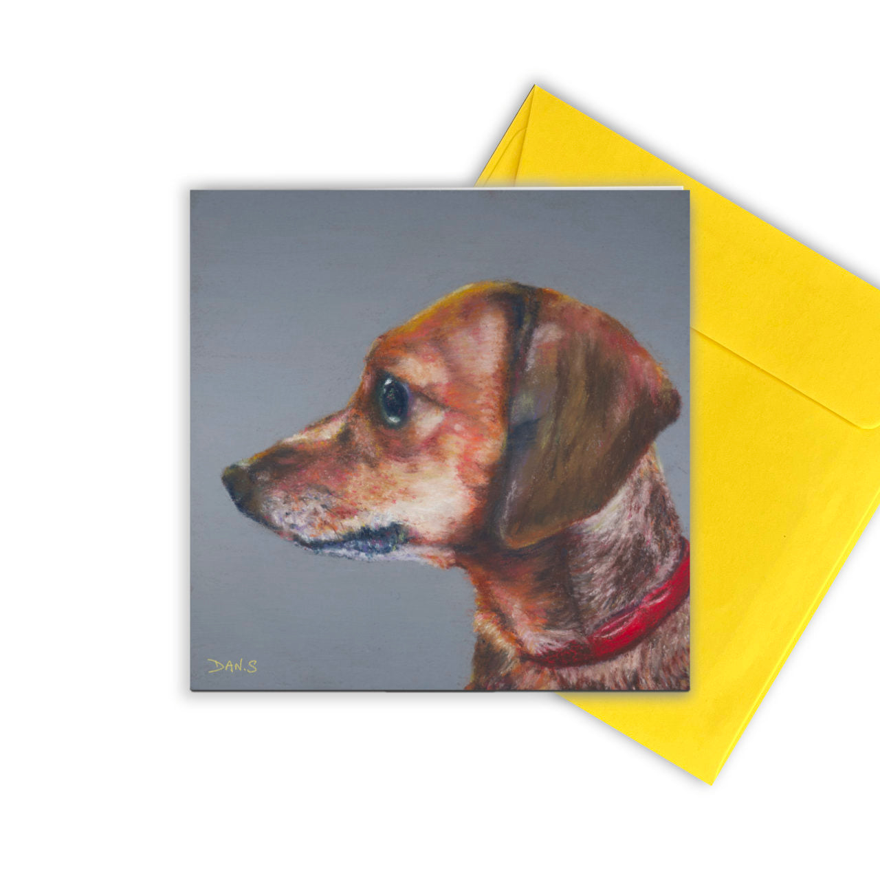 Greetings card with a short haired dachshund's face with yellow envelope