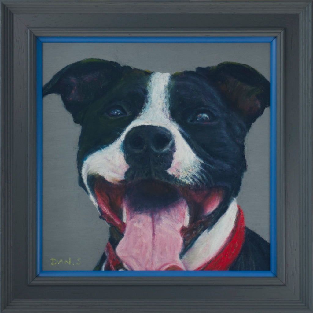 Picture of a Staffordshire bull terrier's face with a grey background framed in a grey frame with blue accent