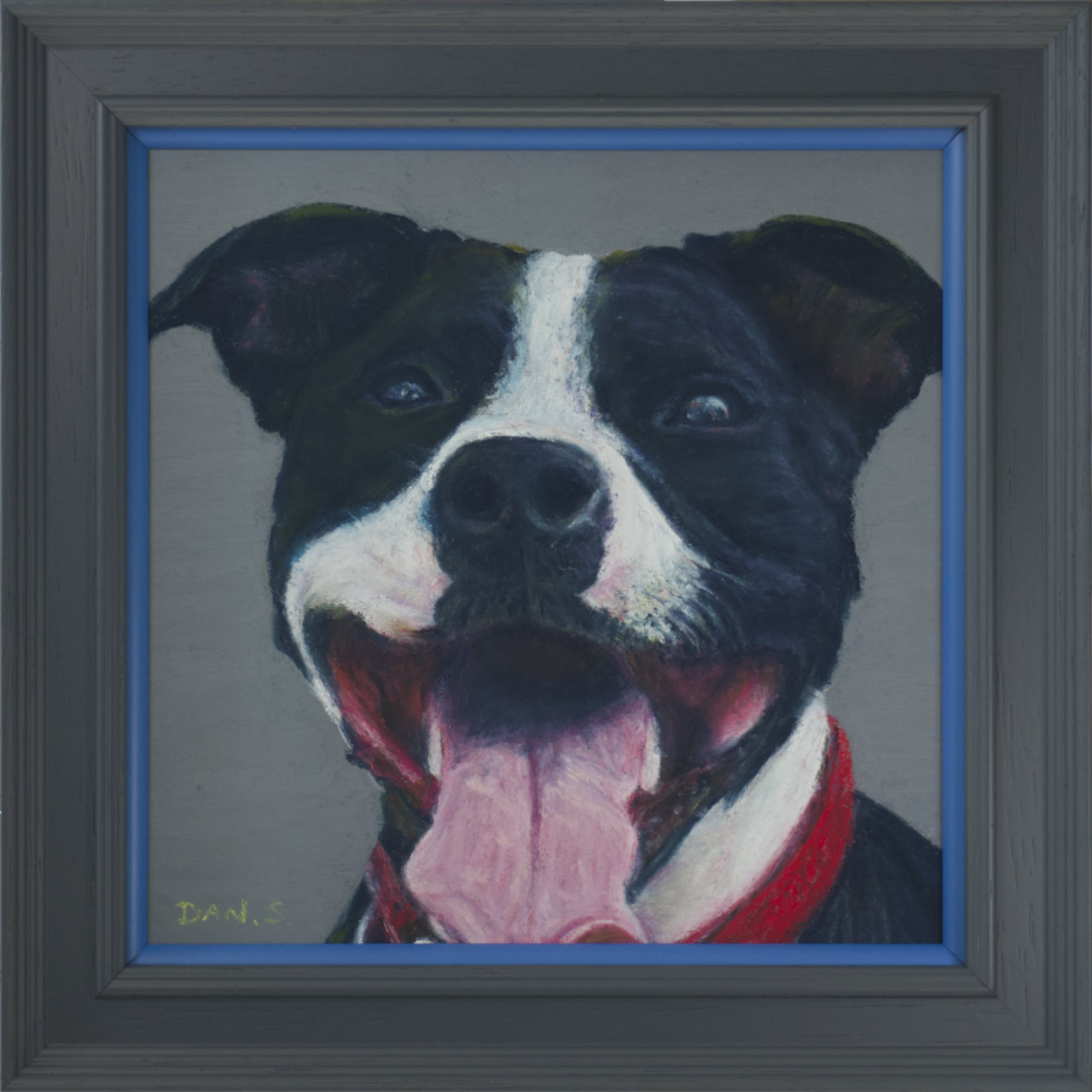 Picture of a Staffordshire bull terrier's face with a grey background framed in a grey frame with blue accent