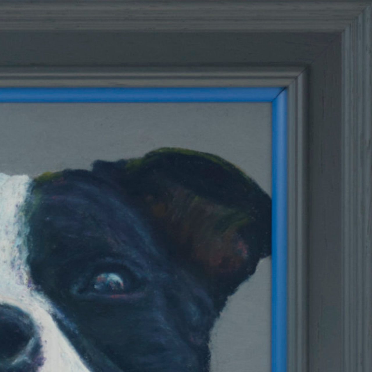 Cropped picture of a Staffordshire bull terrier's face with a grey background framed in a grey frame with blue accent