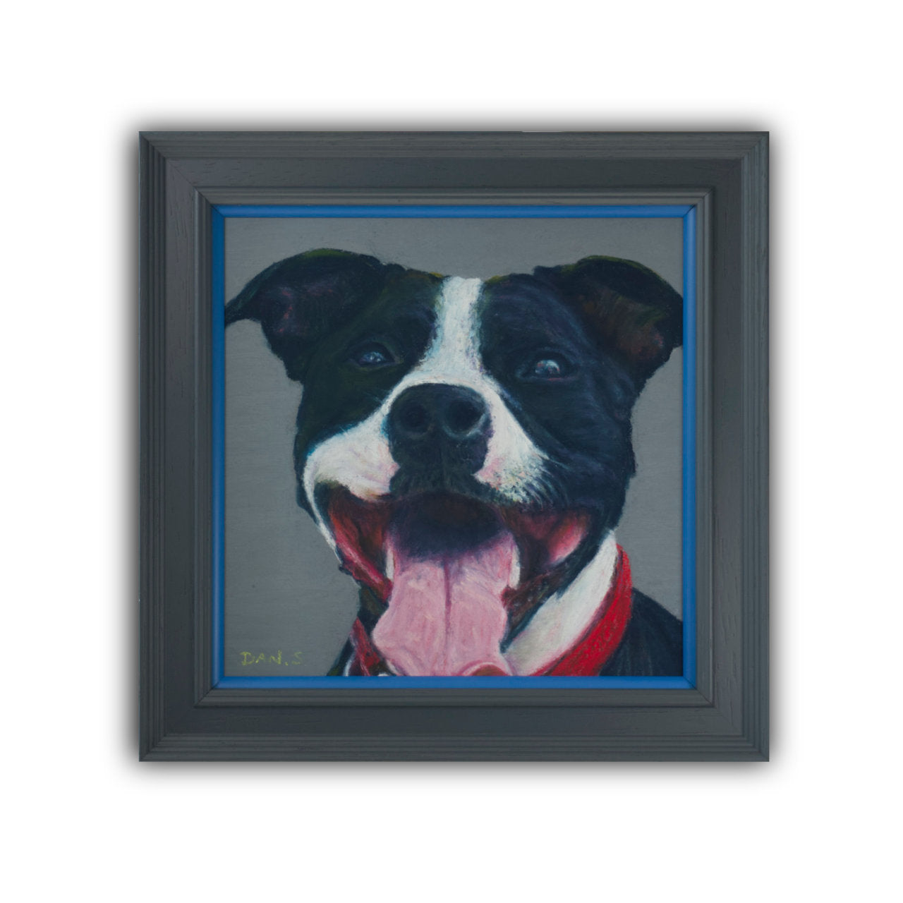 Picture of a Staffordshire bull terrier's face with a grey background framed in a grey frame with blue accent