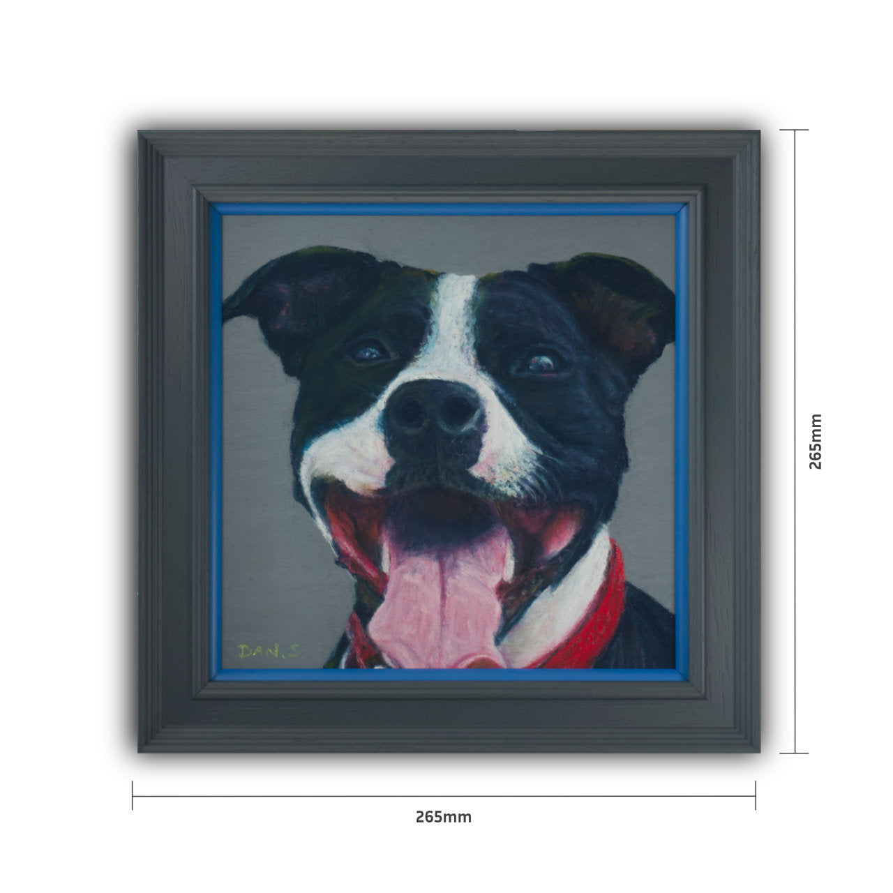 Picture of a Staffordshire bull terrier's face with a grey background framed in a grey frame with blue accent