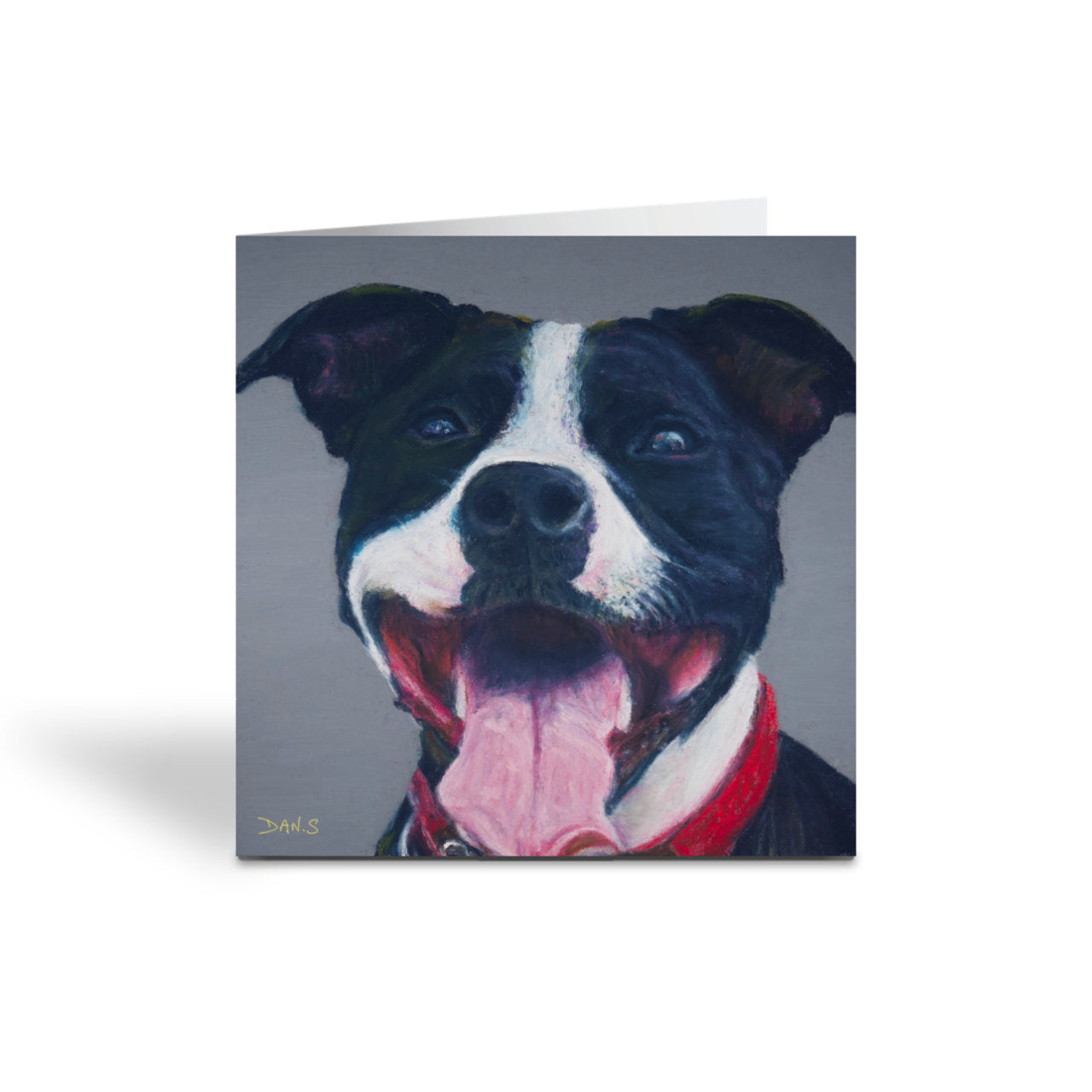 Greetings card with Staffordshire bull terrier's face with a grey background