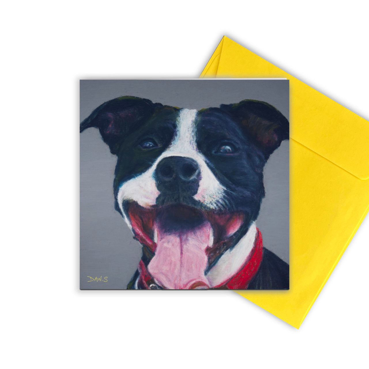Greetings card with Staffordshire bull terrier's face with yellow envelope