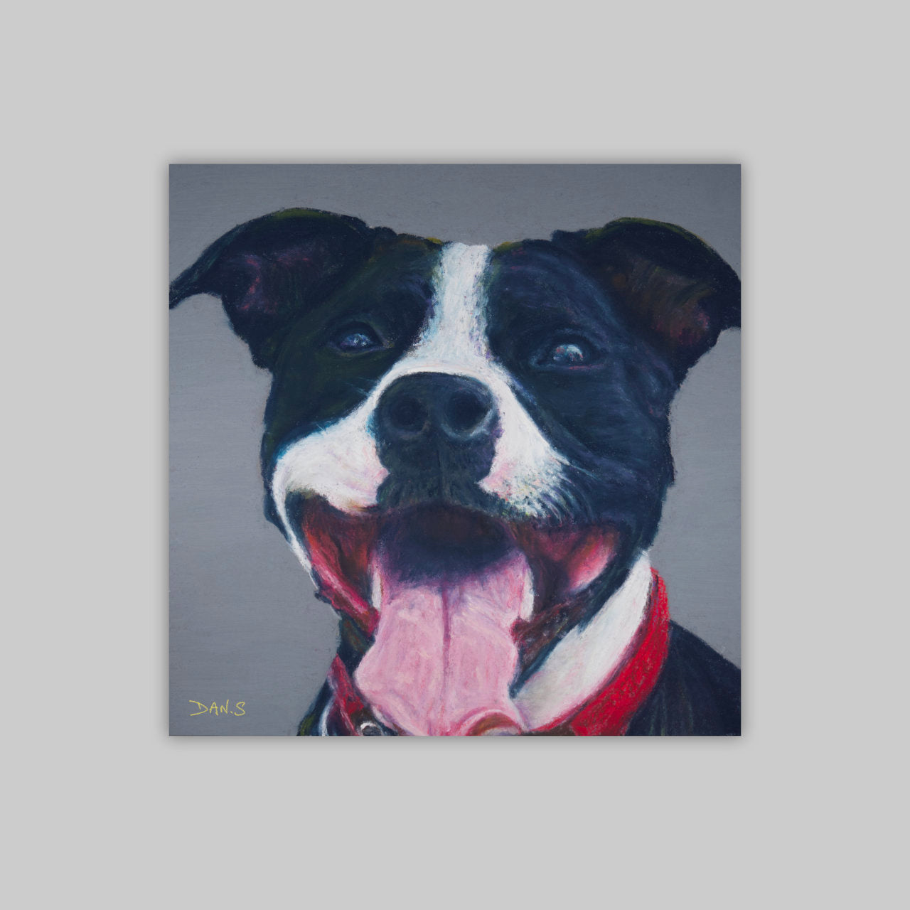 Print of a Staffordshire bull terrier's face with a grey background