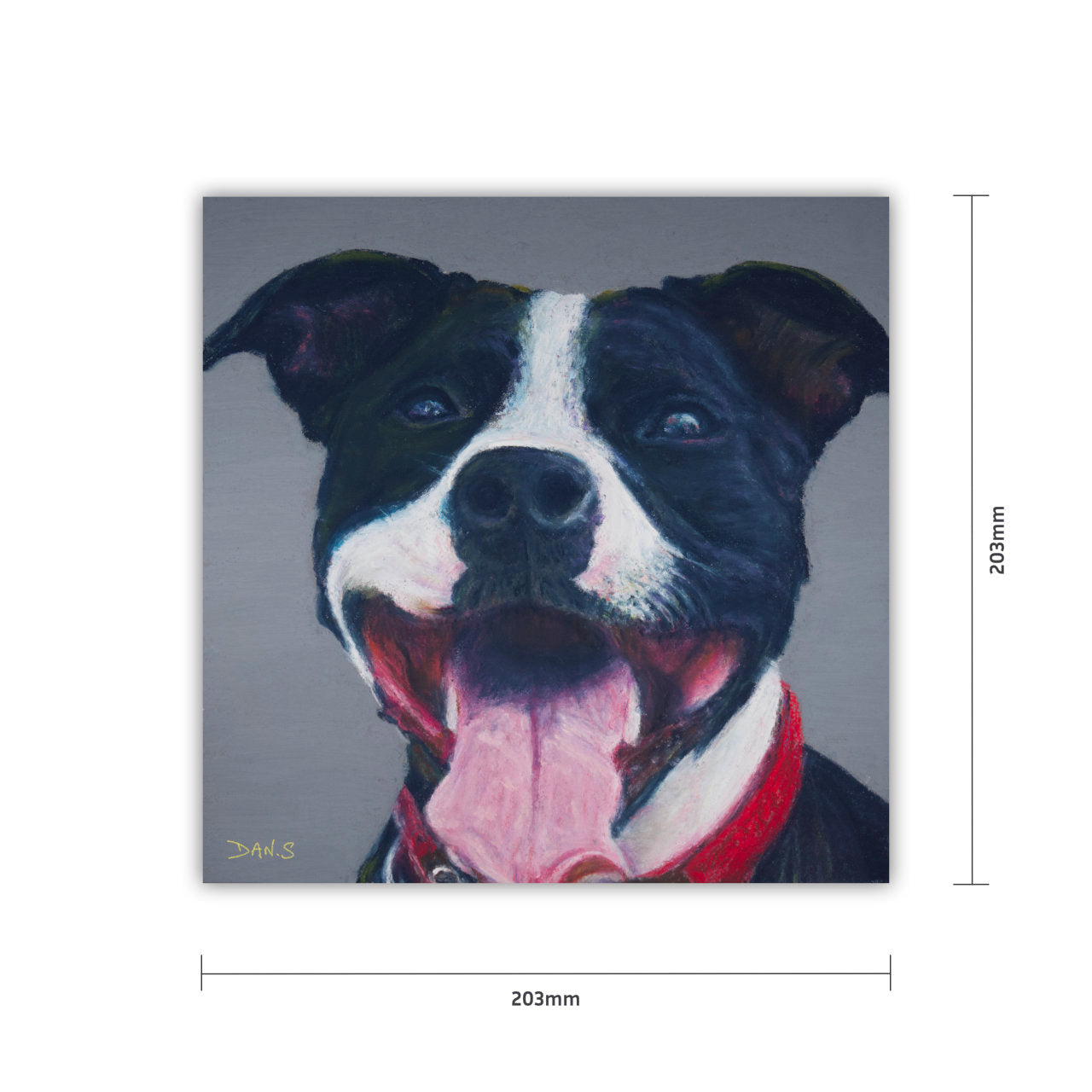 Canvas print of a Staffordshire bull terrier's face with a grey background