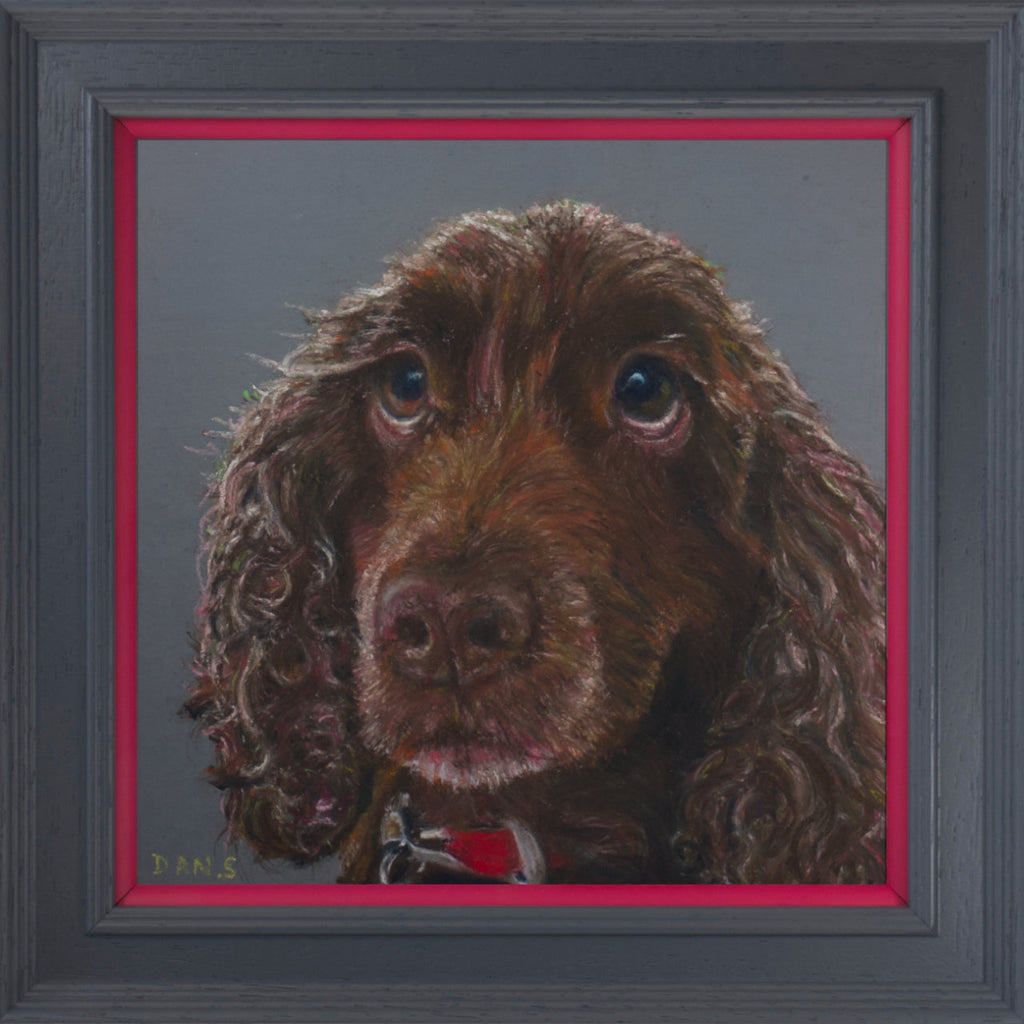 Picture of a brown cocker spaniel's face with a grey background in a grey frame with pink border