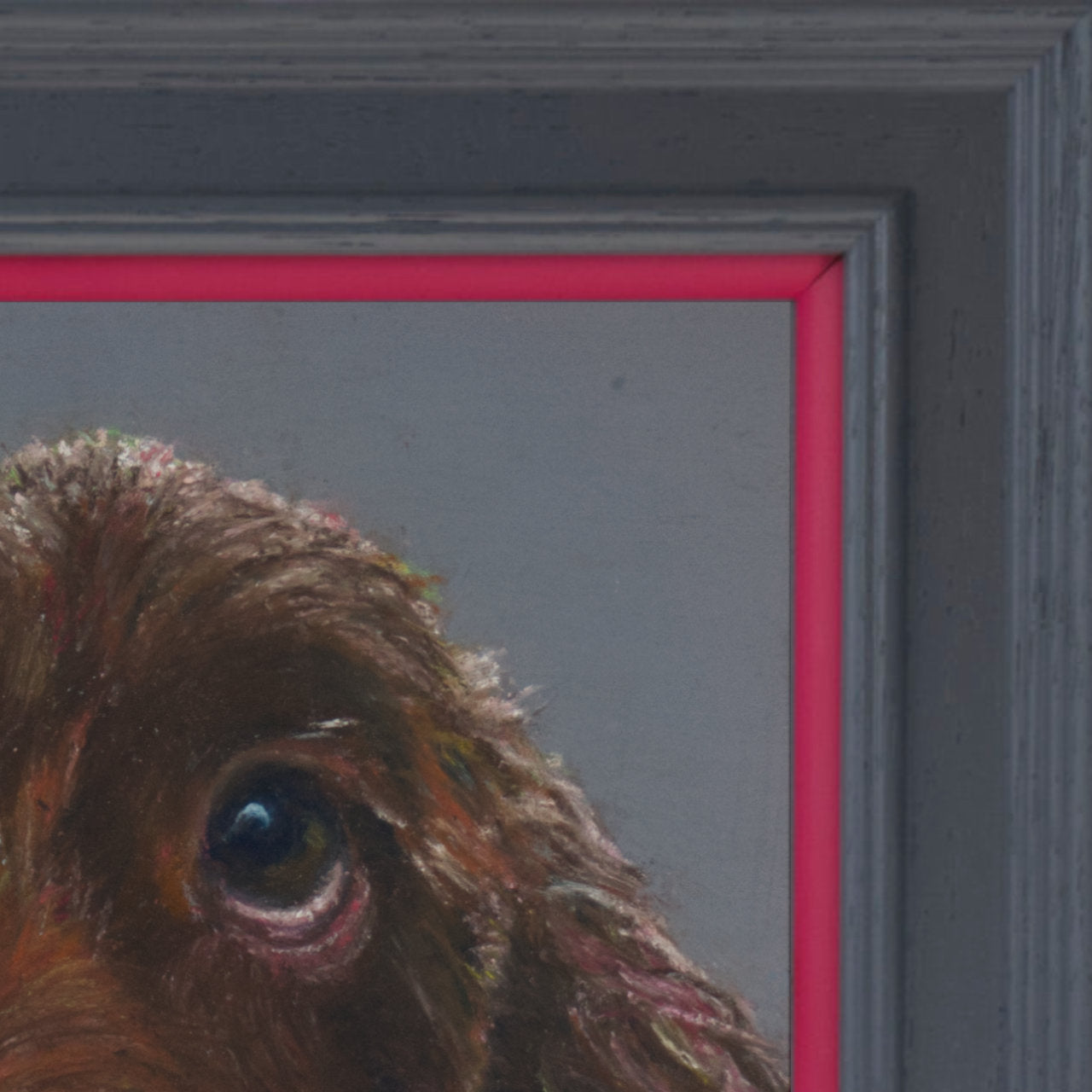 Cropped in picture of a brown cocker spaniel's face with a grey background in a grey frame with pink border