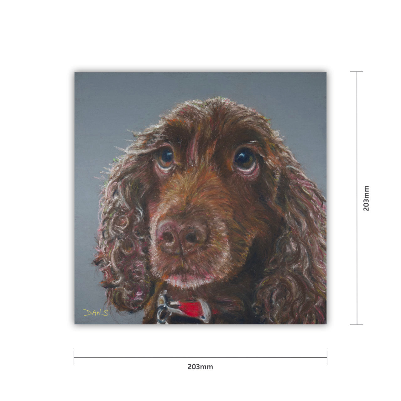 Print of a brown cocker spaniel's face with a grey background