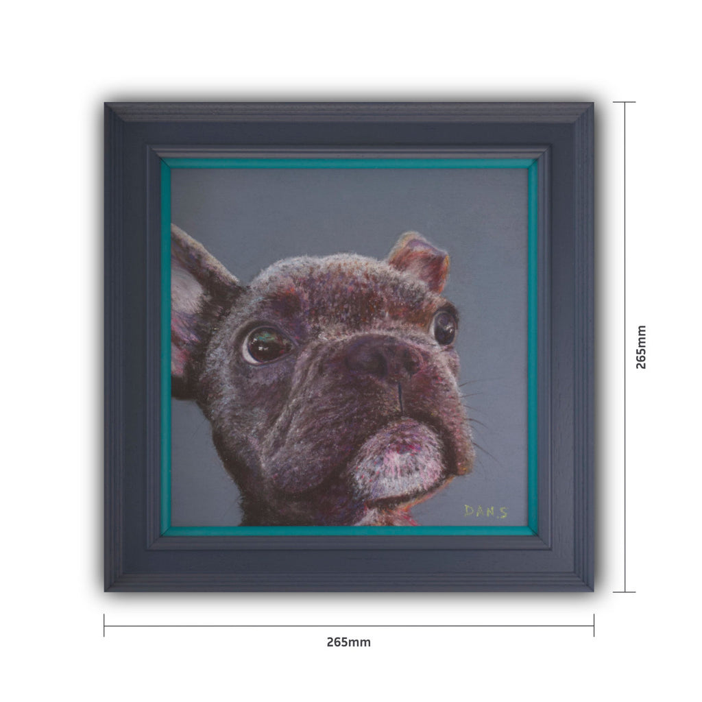 Framed artwork of a French Bulldog's face with dimensions indicated