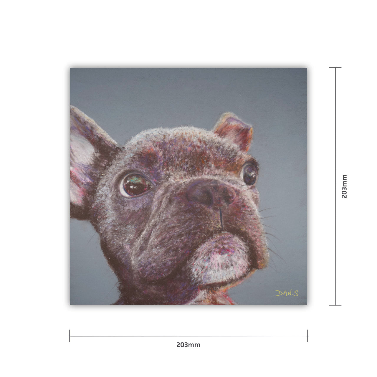 Artwork of a French Bulldog's face with measurements