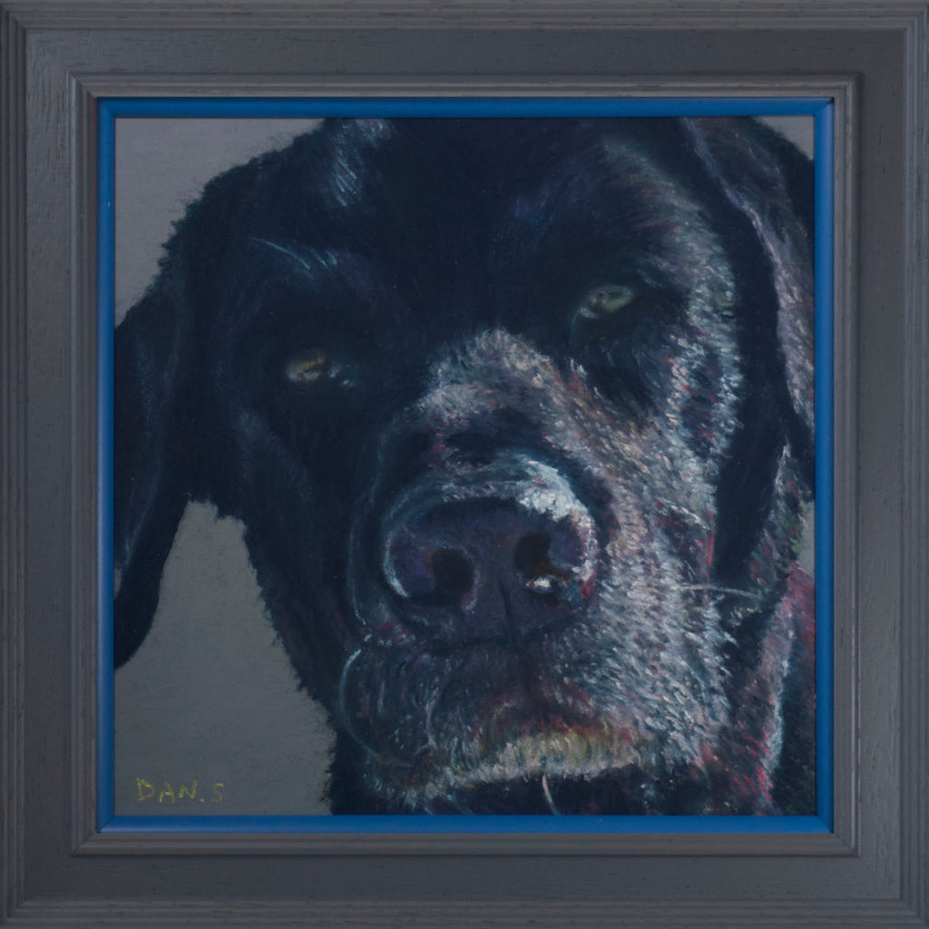Picture of a black Labrador with grey background in a grey frame with blue accent