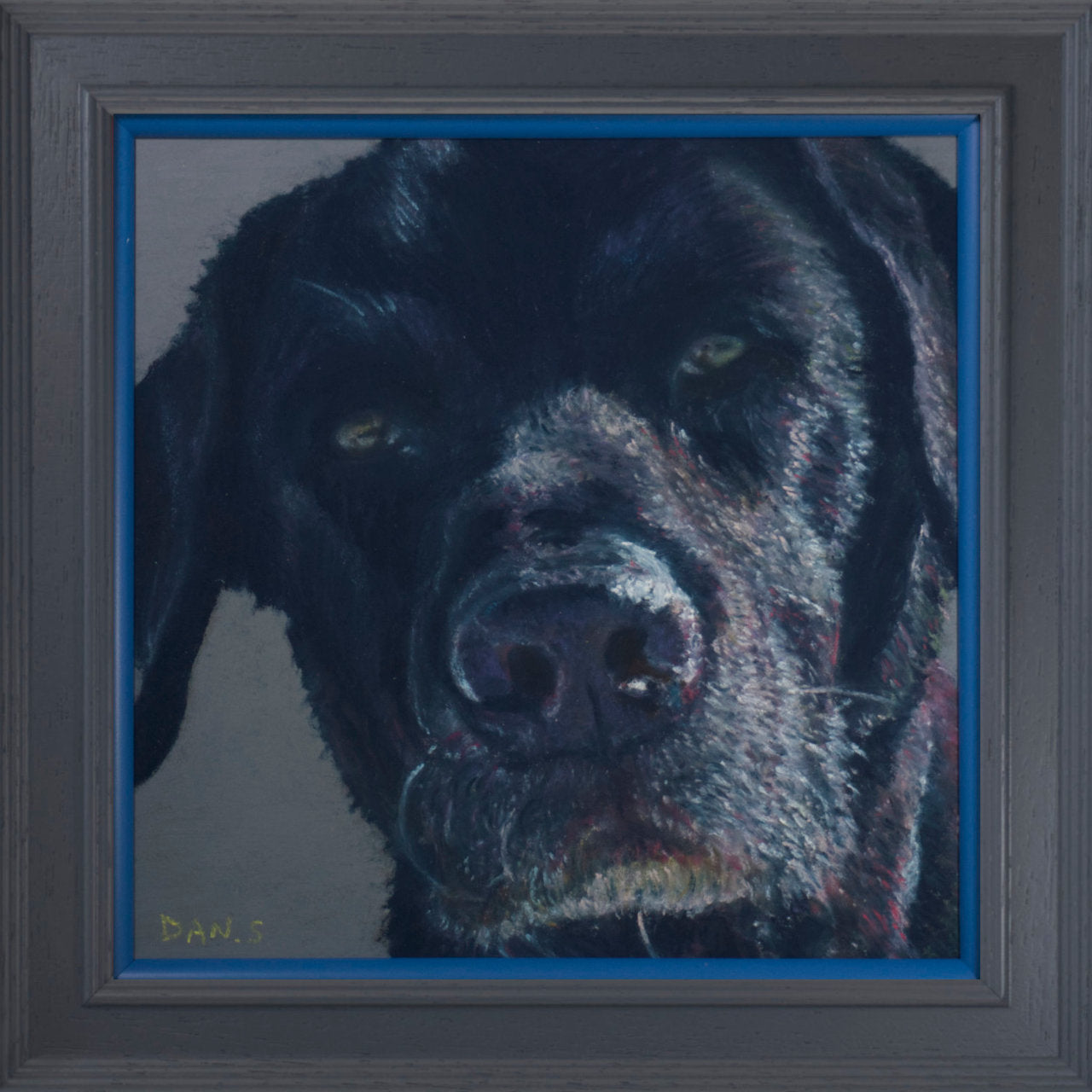 Picture of a black Labrador with grey background in a grey frame with blue accent