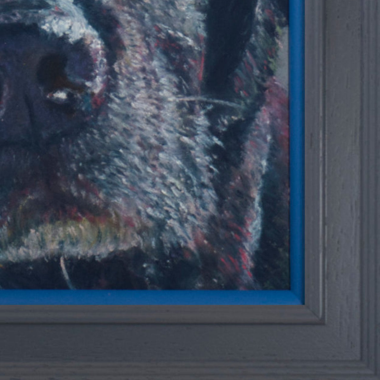 Cropped picture of a black Labrador with grey background in a grey frame with blue accent
