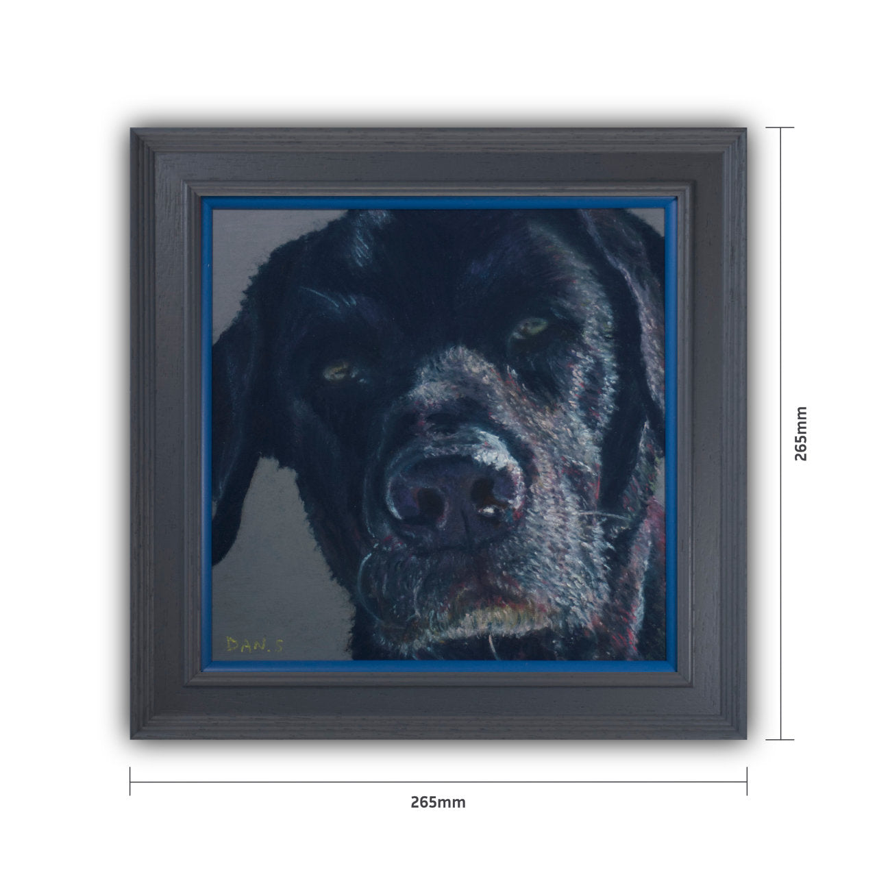 Picture of a black Labrador with grey background in a grey frame with blue accent