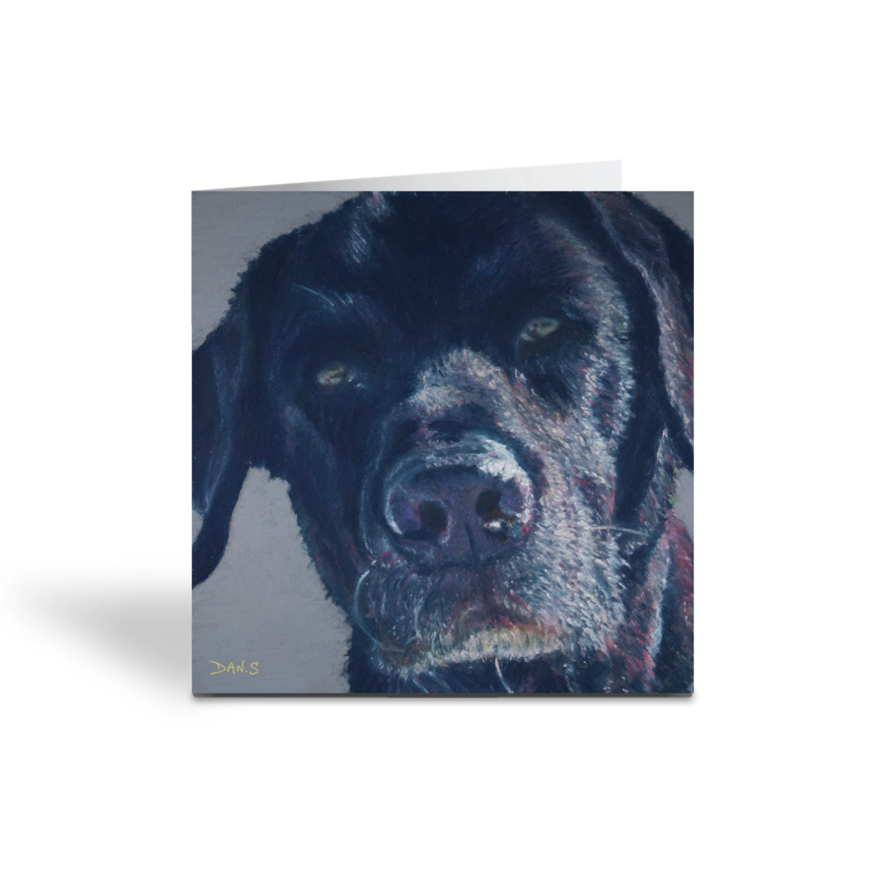 Picture a greetings card featuring a black Labrador