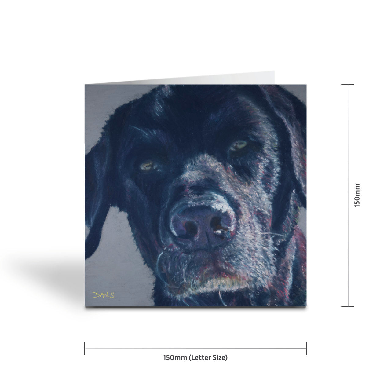 Picture a greetings card featuring a black Labrador